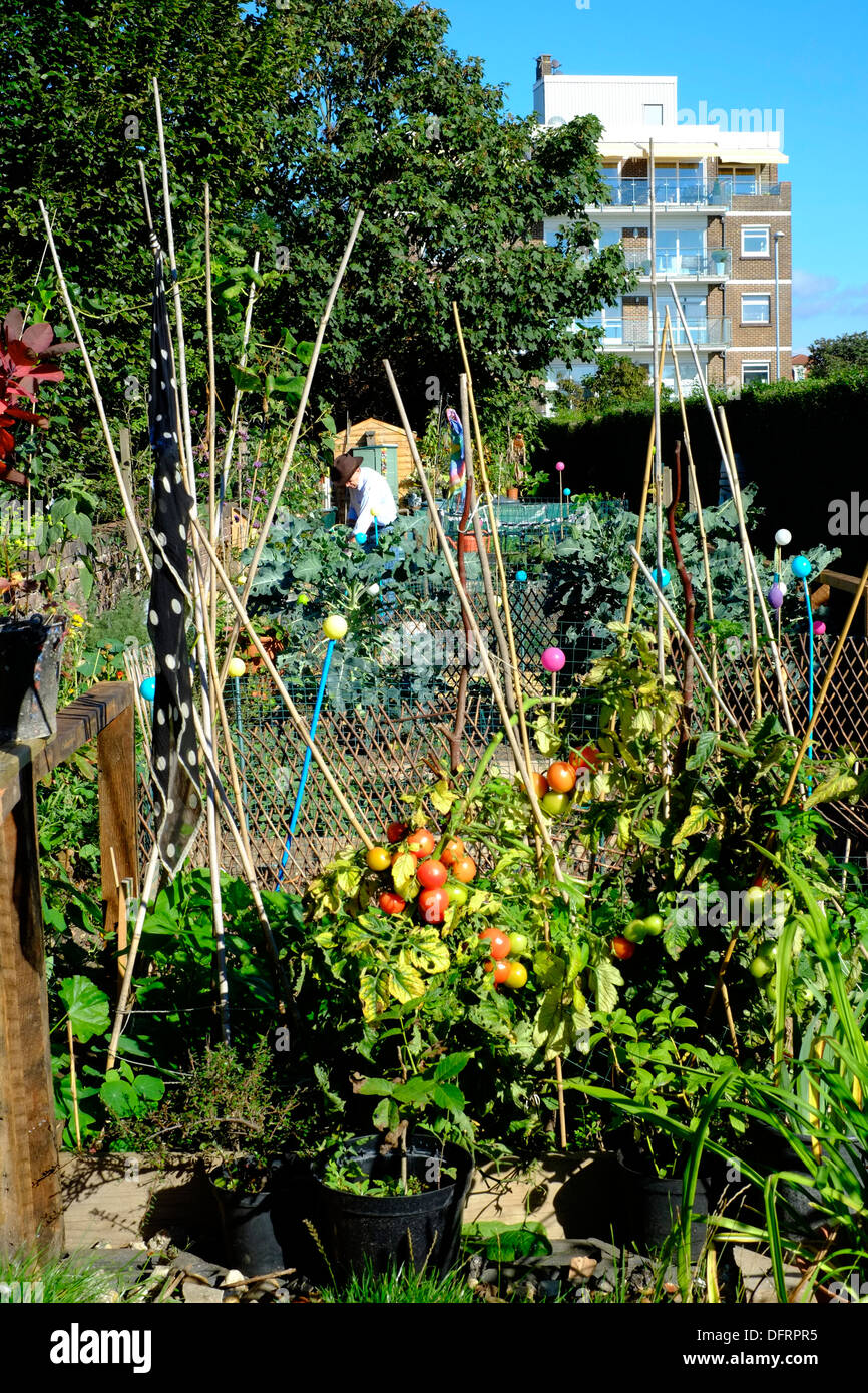 Comunità urbana nel giardino southsea England Regno Unito Foto Stock