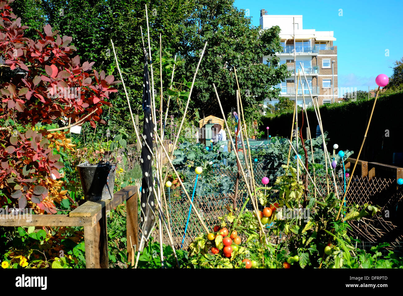 Comunità urbana nel giardino southsea England Regno Unito Foto Stock