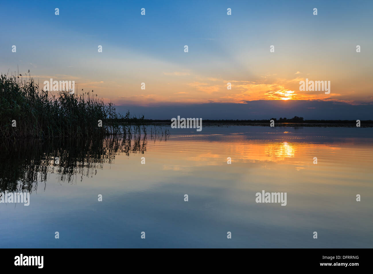 Sunrise nel Delta del Danubio Foto Stock