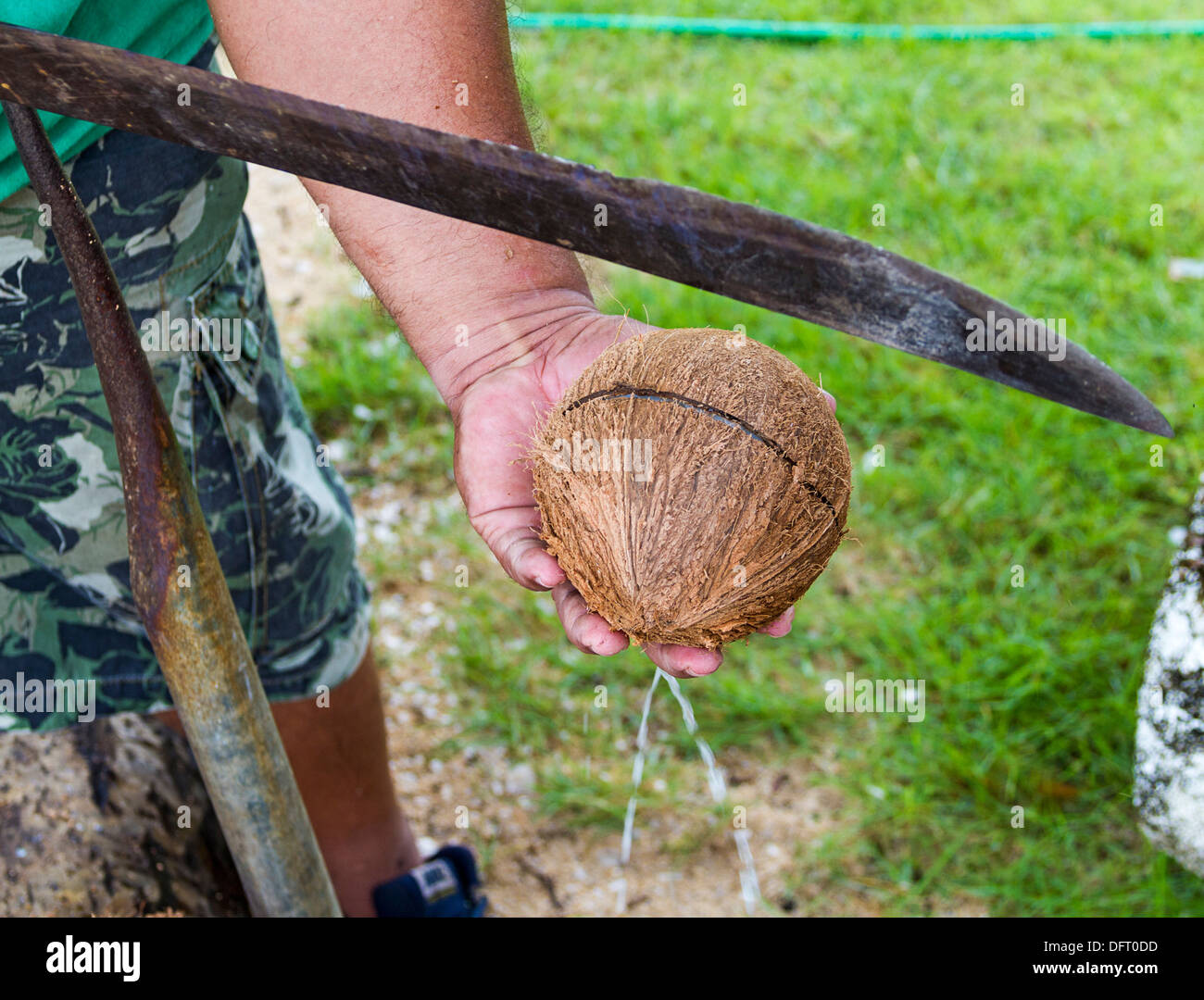 Uomo locale dimostra come aprire una noce di cocco sull isola di Kosrae,  Micronesia Foto stock - Alamy
