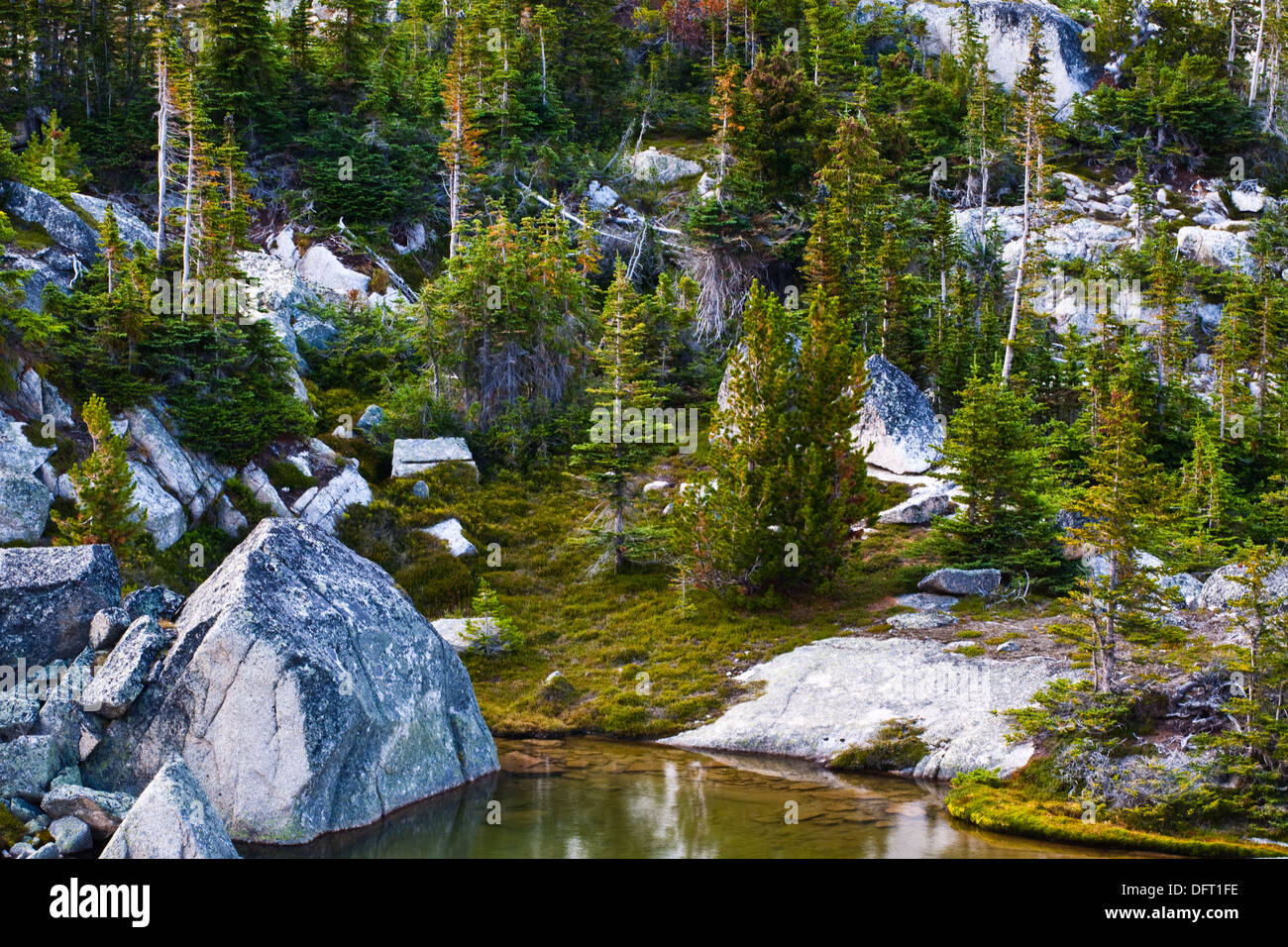 Alberi e rocce di grandi dimensioni da un alta alpine tarn, Bugaboo Parco Provinciale, B.C. Canada Foto Stock
