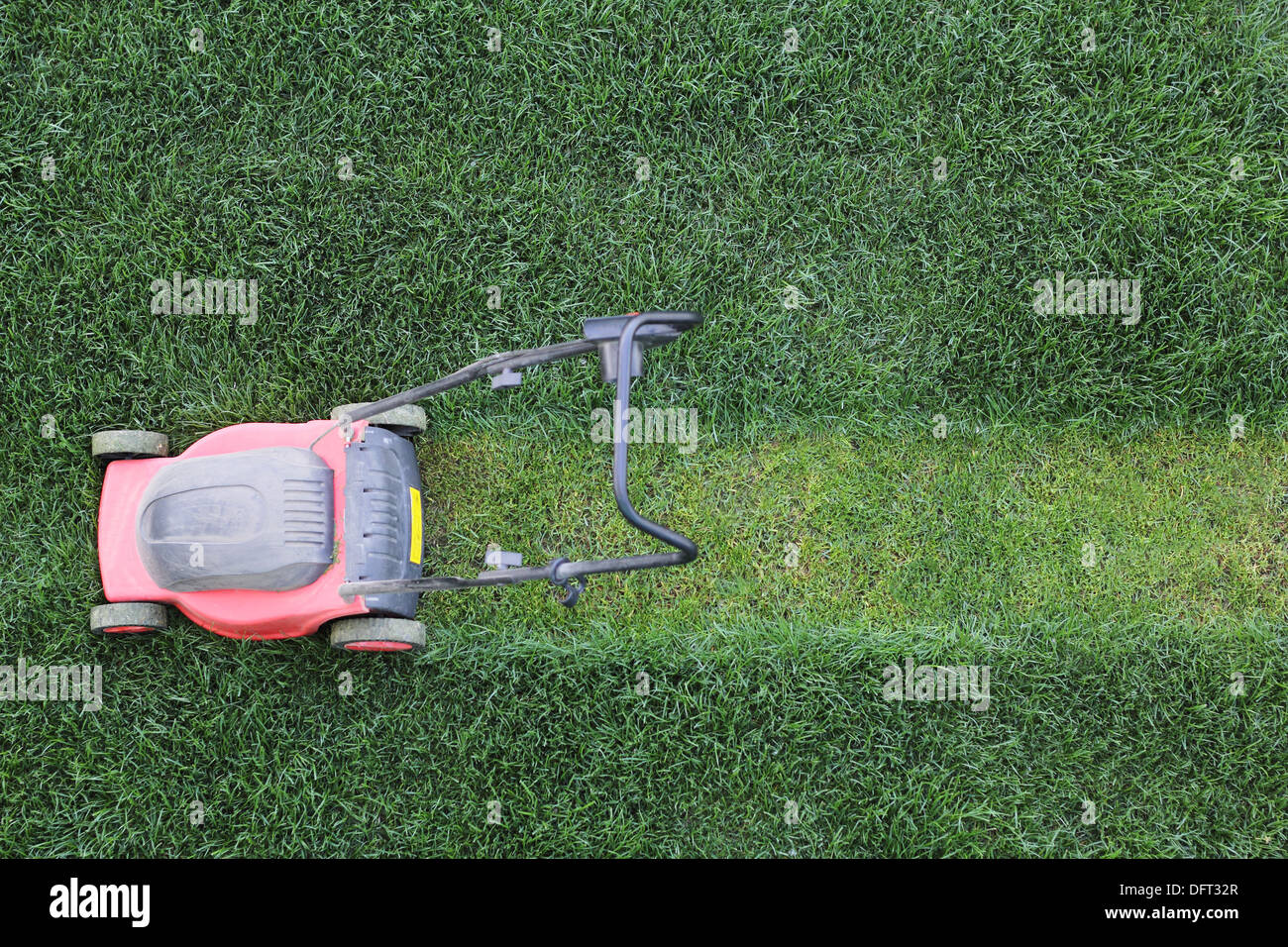 Erba taglierina taglia il prato verde Foto Stock