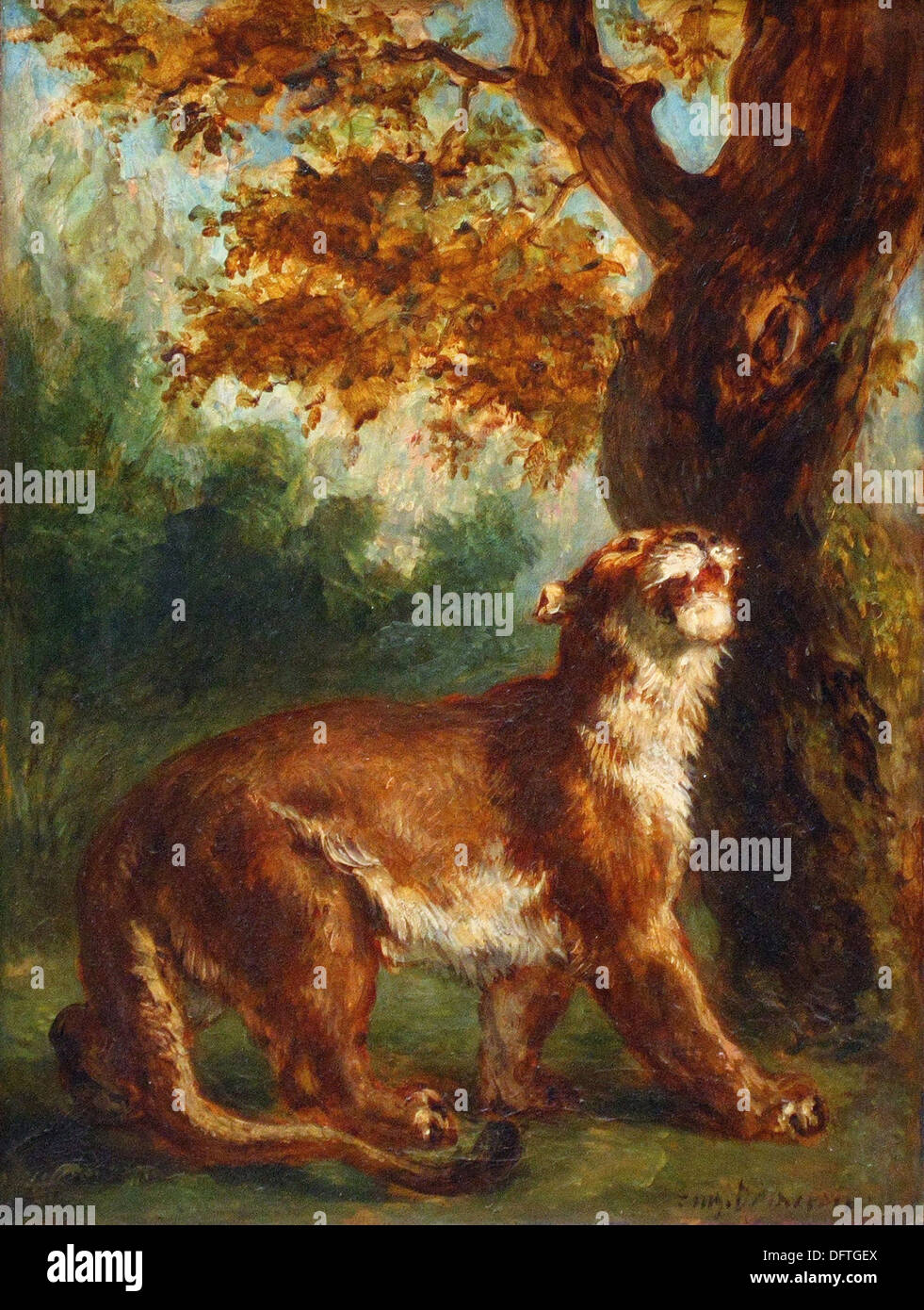Eugène Delacroix - Le puma - 1859 - Il Museo d' Orsay - Parigi Foto Stock