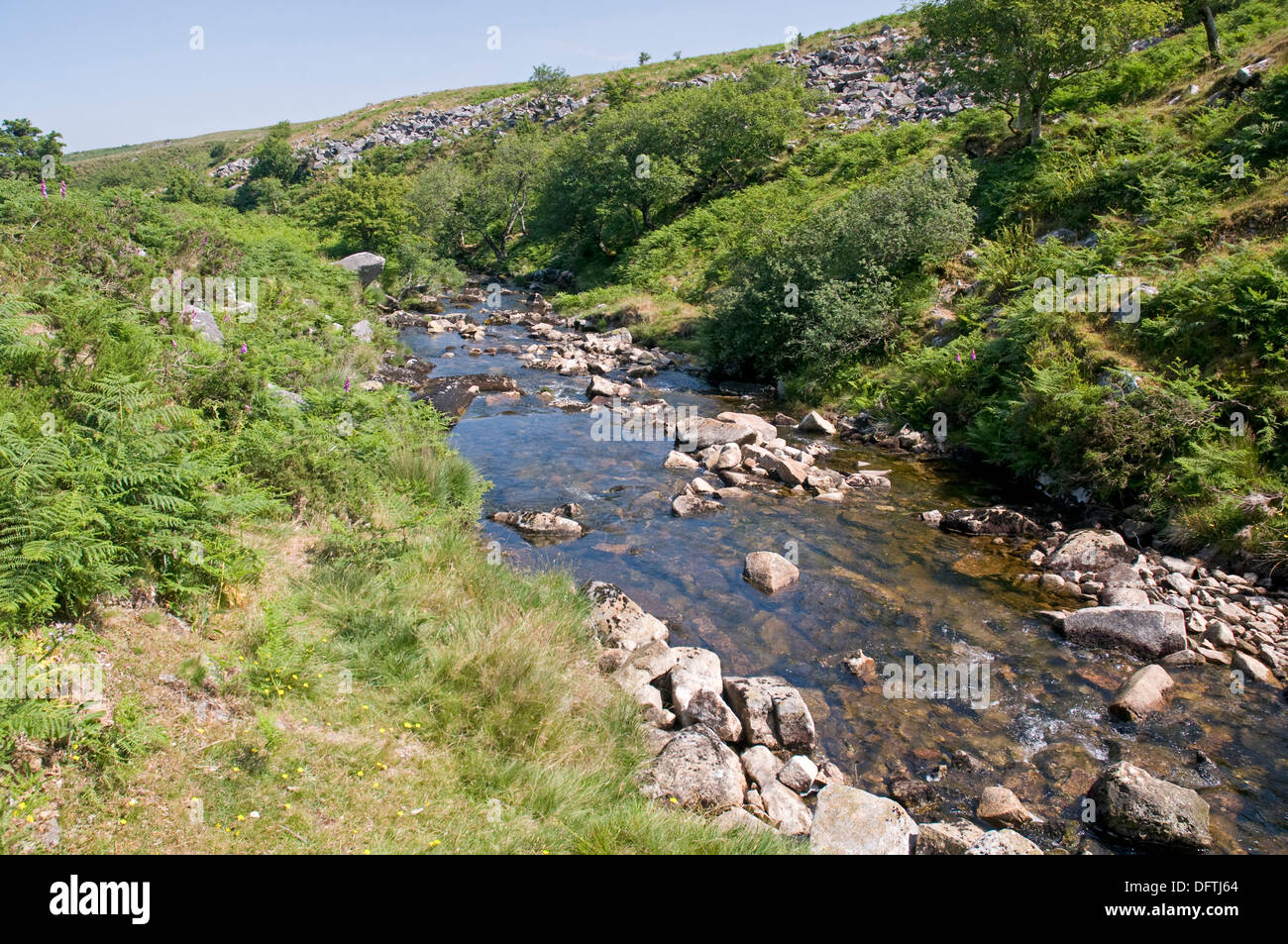 Il fiume Taw sul lato orientale di Dartmoor, a poche miglia a nord di testa. Foto Stock