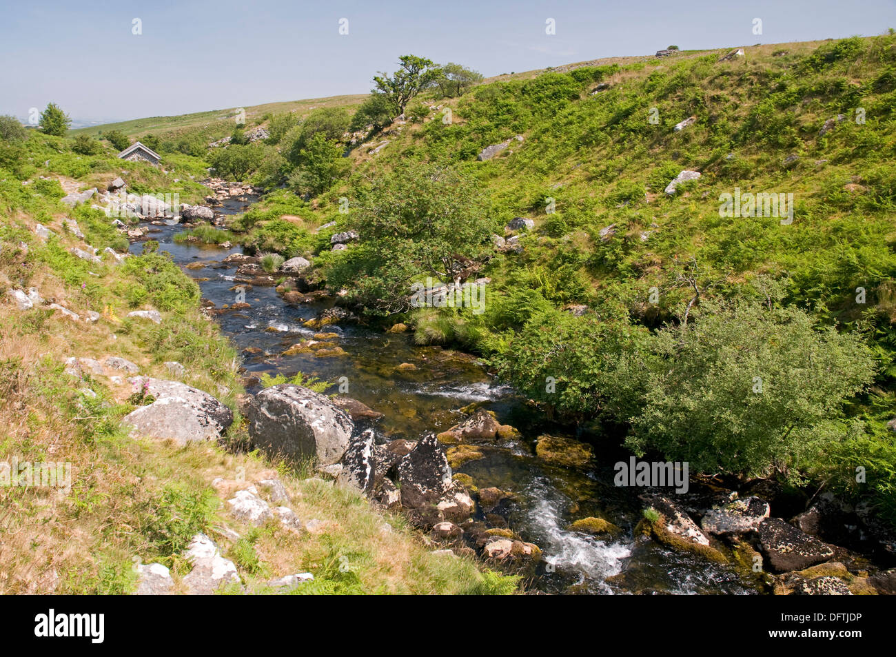 Il fiume Taw sul lato orientale di Dartmoor, a poche miglia a nord di testa. Foto Stock