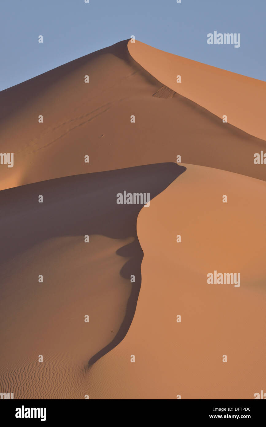 Dune nella luce del mattino, grande mare di sabbia, Sahara, regione Meknès-Tafilalet, Marocco Foto Stock