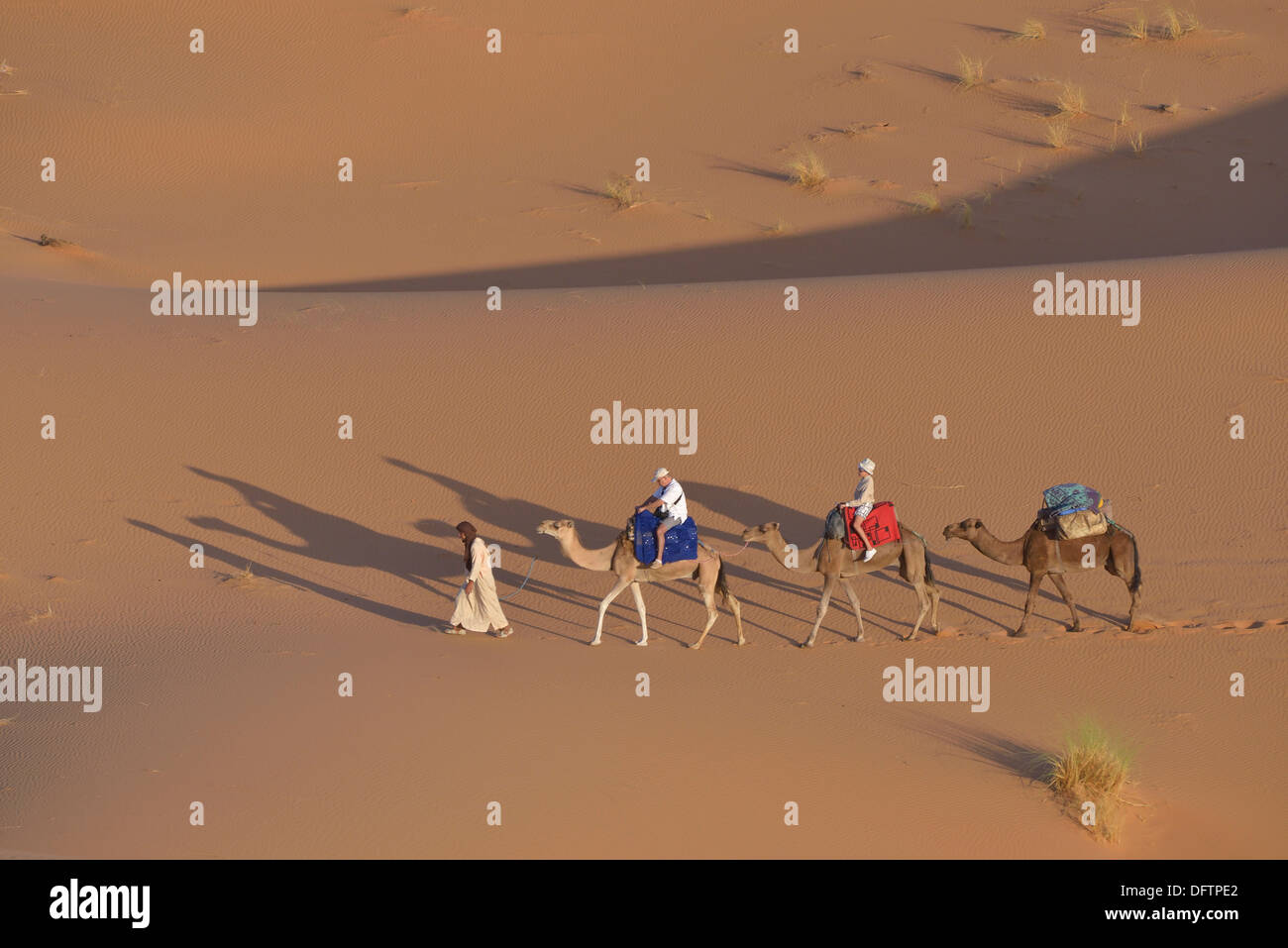 I turisti a cavallo di cammelli nel dune, grande mare di sabbia, Weiße Wüste, Farafra, Gouvernement al-Wadi al-dschadid, Ägypten Foto Stock