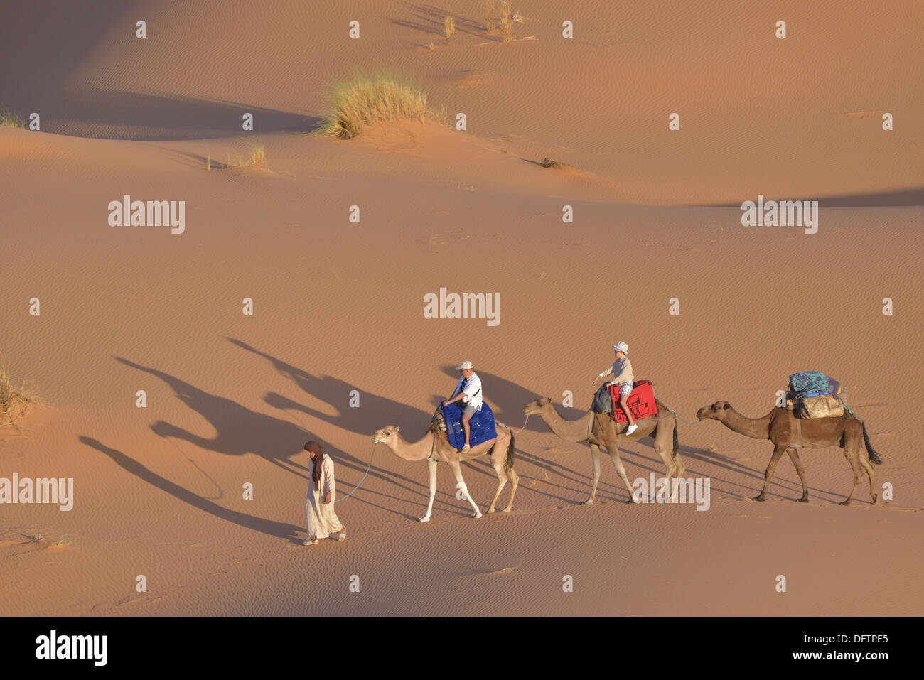 I turisti a cavallo di cammelli nel dune, grande mare di sabbia, Sahara, Merzouga, regione Meknès-Tafilalet, Marocco Foto Stock
