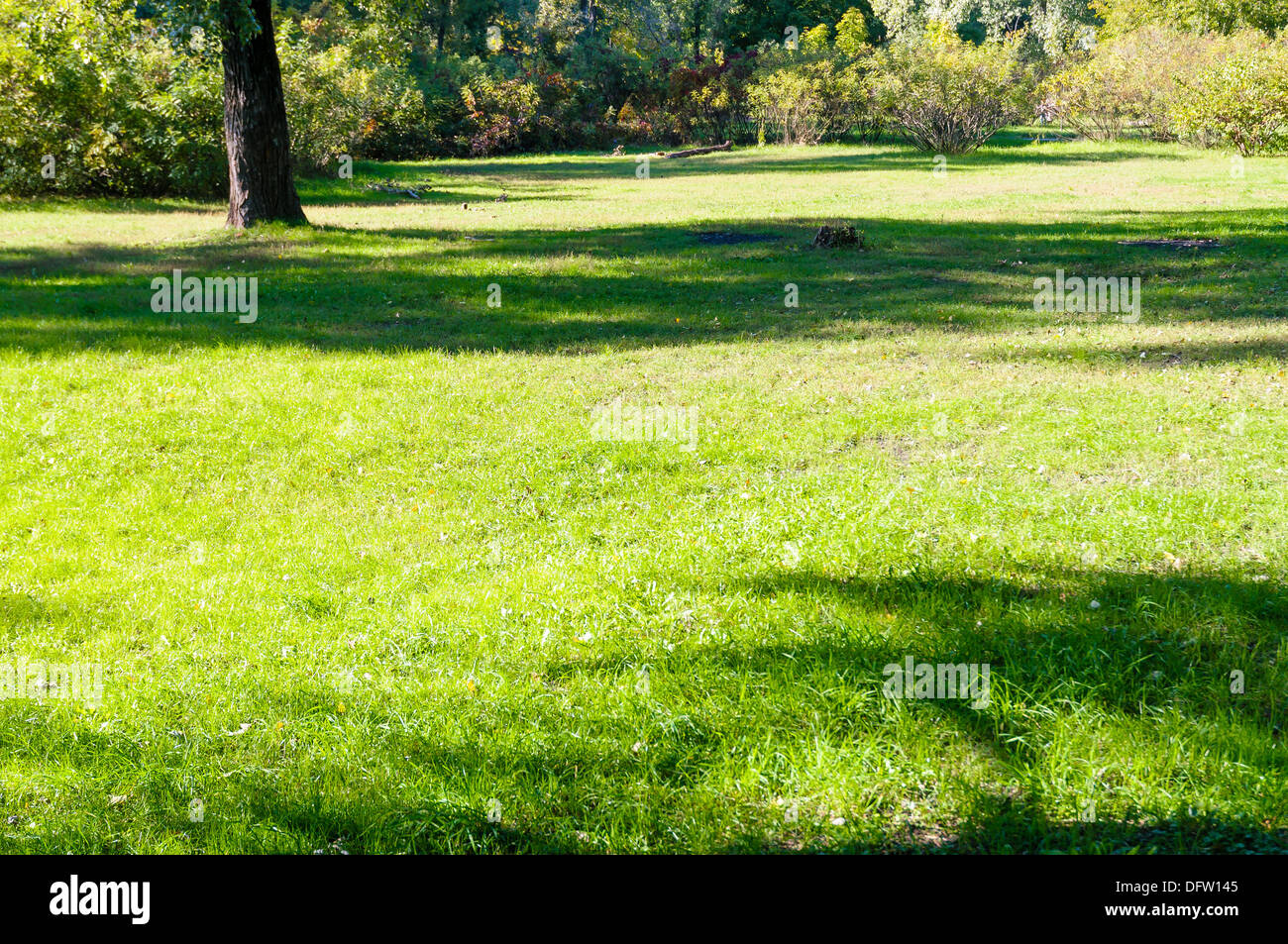 Un luogo tranquillo per picnic sull'erba nel parco Foto Stock