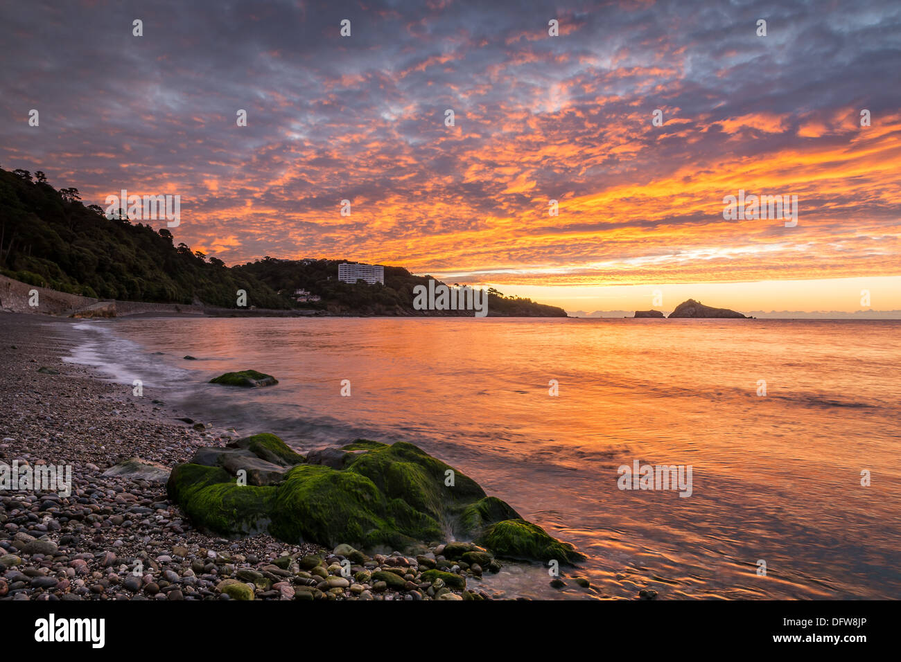 Meadfoot Beach, Torquay a sunrise Foto Stock