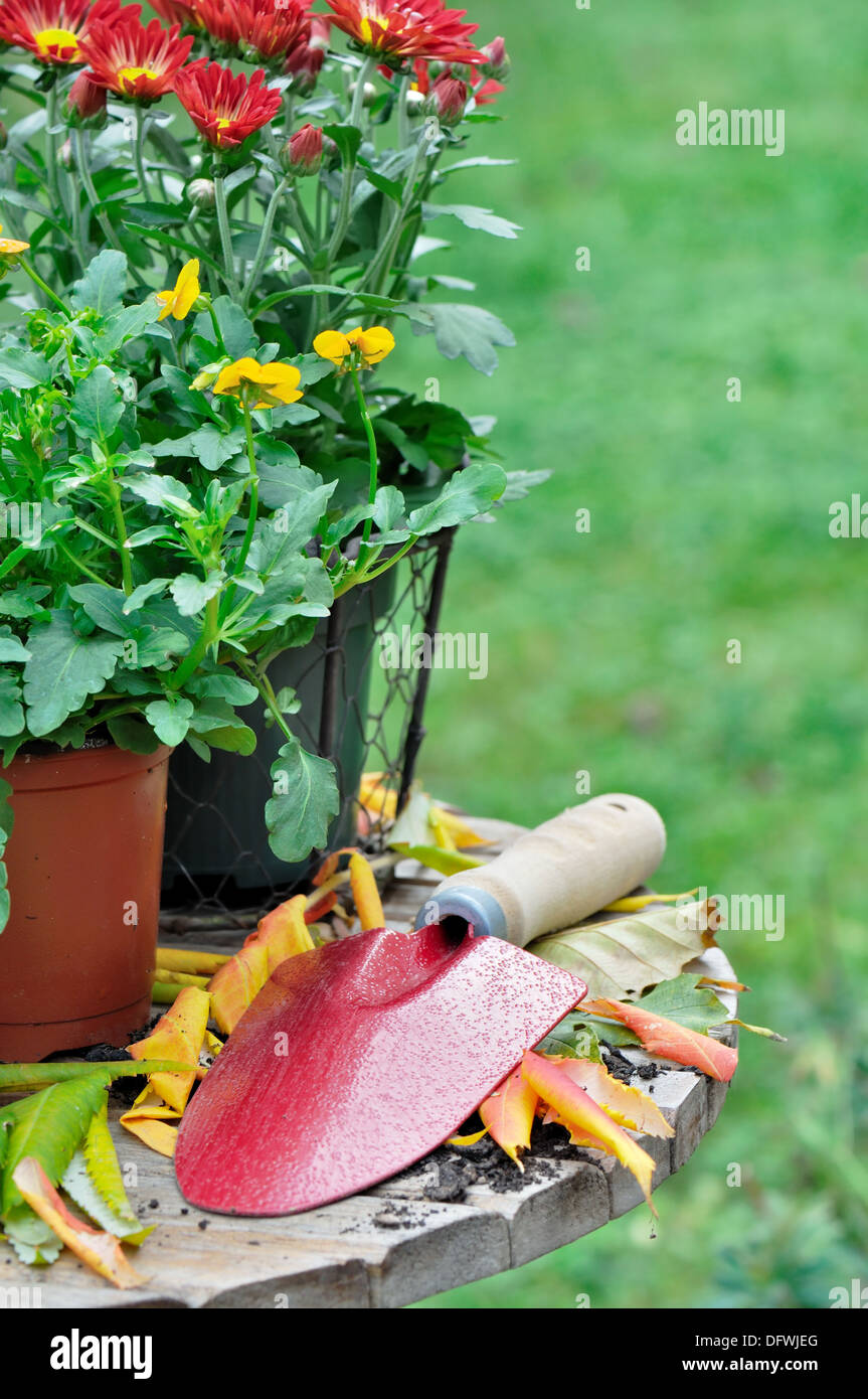 Piantatrice su un tavolo con fiori di caduta Foto Stock