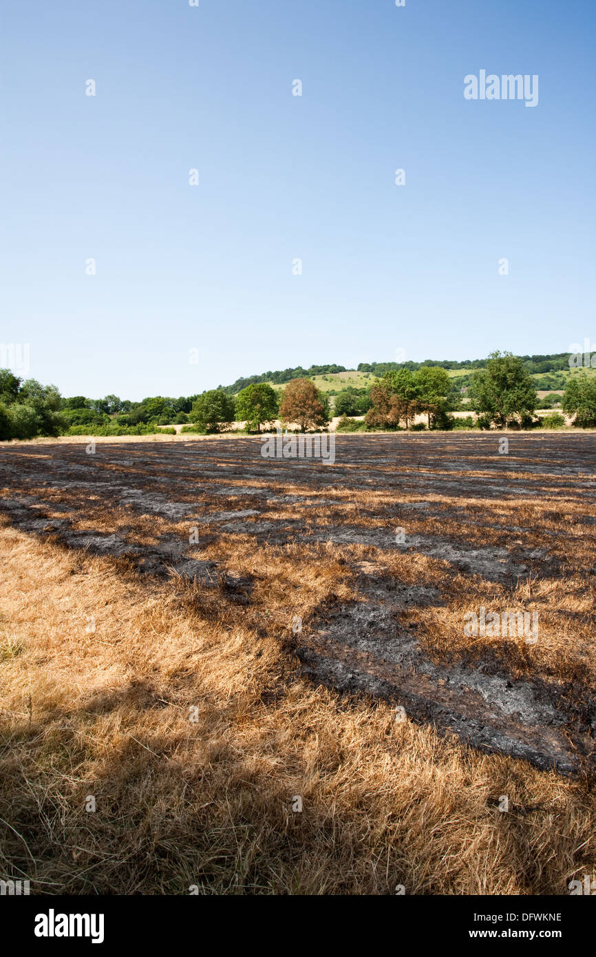 Un campo incendiate da incendiari in Pixham, vicino a Dorking, Surrey Foto Stock