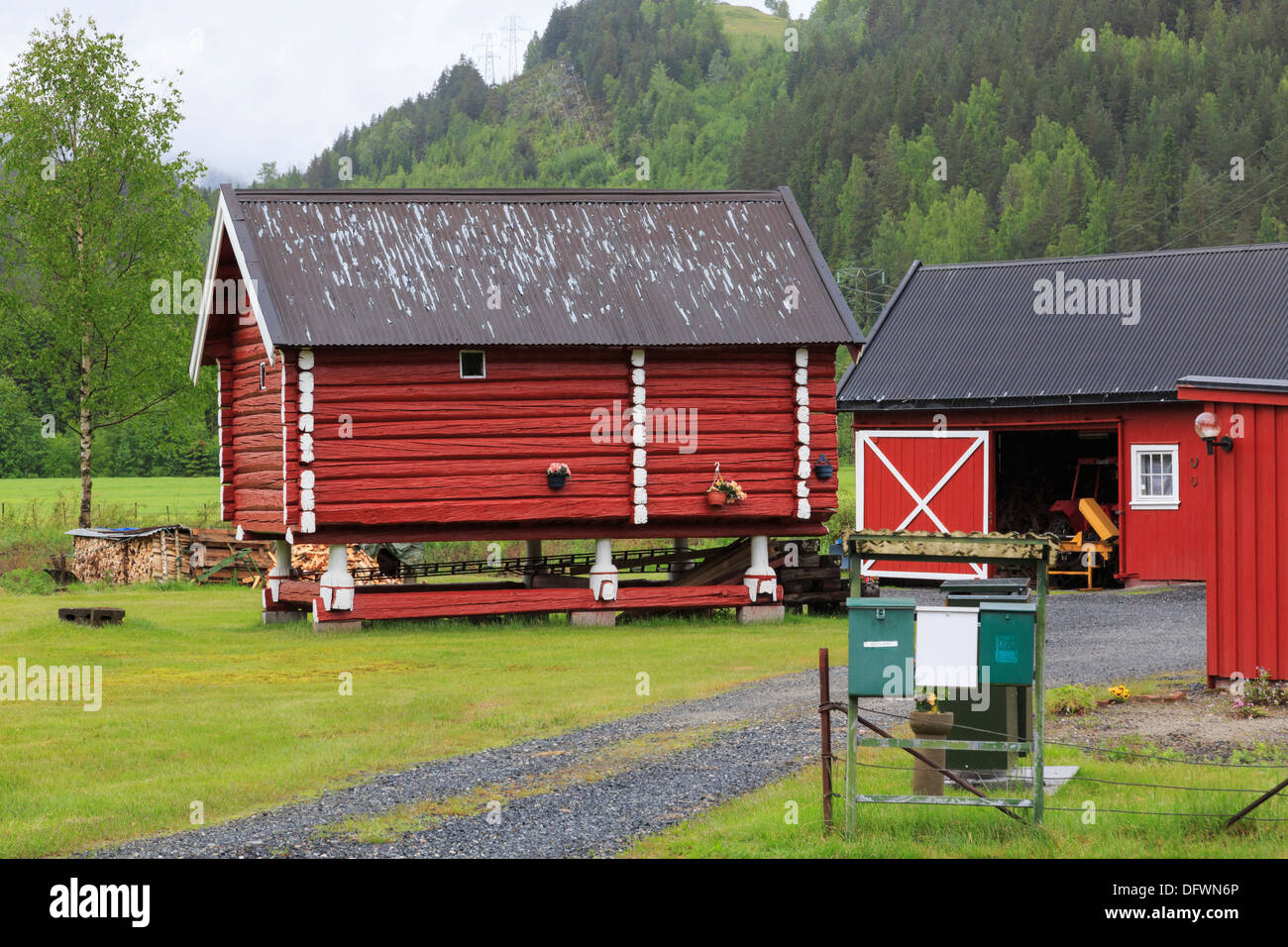 Tradizionale in legno rosso grain store su palafitte in una fattoria con caselle di posta sul viale di ingresso nel Telemark Norvegia Scandinavia Foto Stock