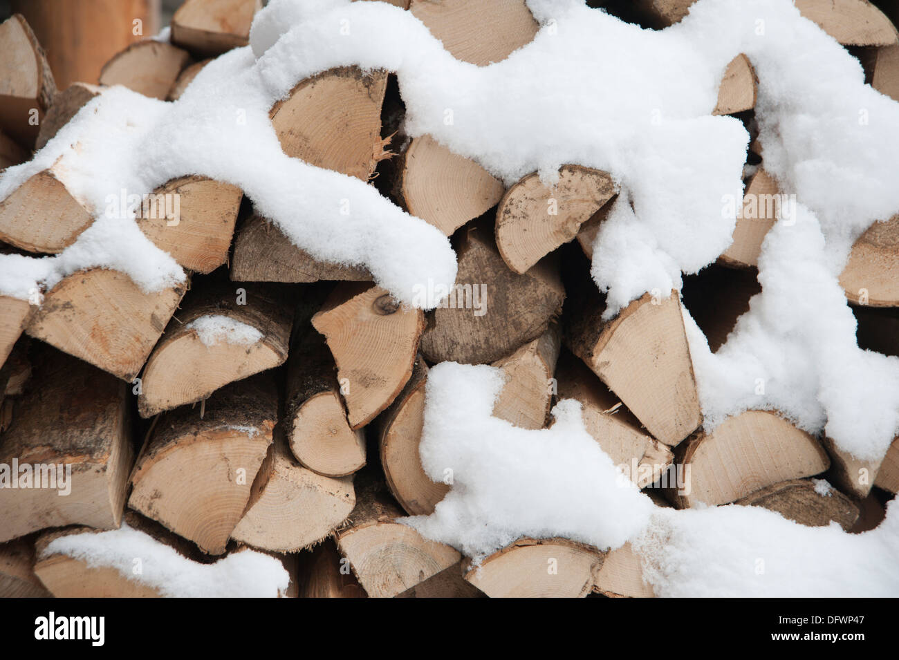 Un palo di legno ricoperta di neve. Foto Stock