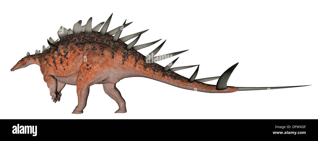 Dinosauro Kentrosaurus, sfondo bianco. Foto Stock