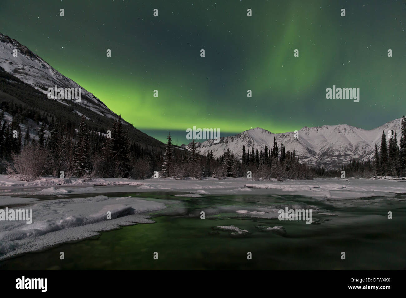 Aurora boreale sopra il lago di Annie, Yukon, Canada. Foto Stock