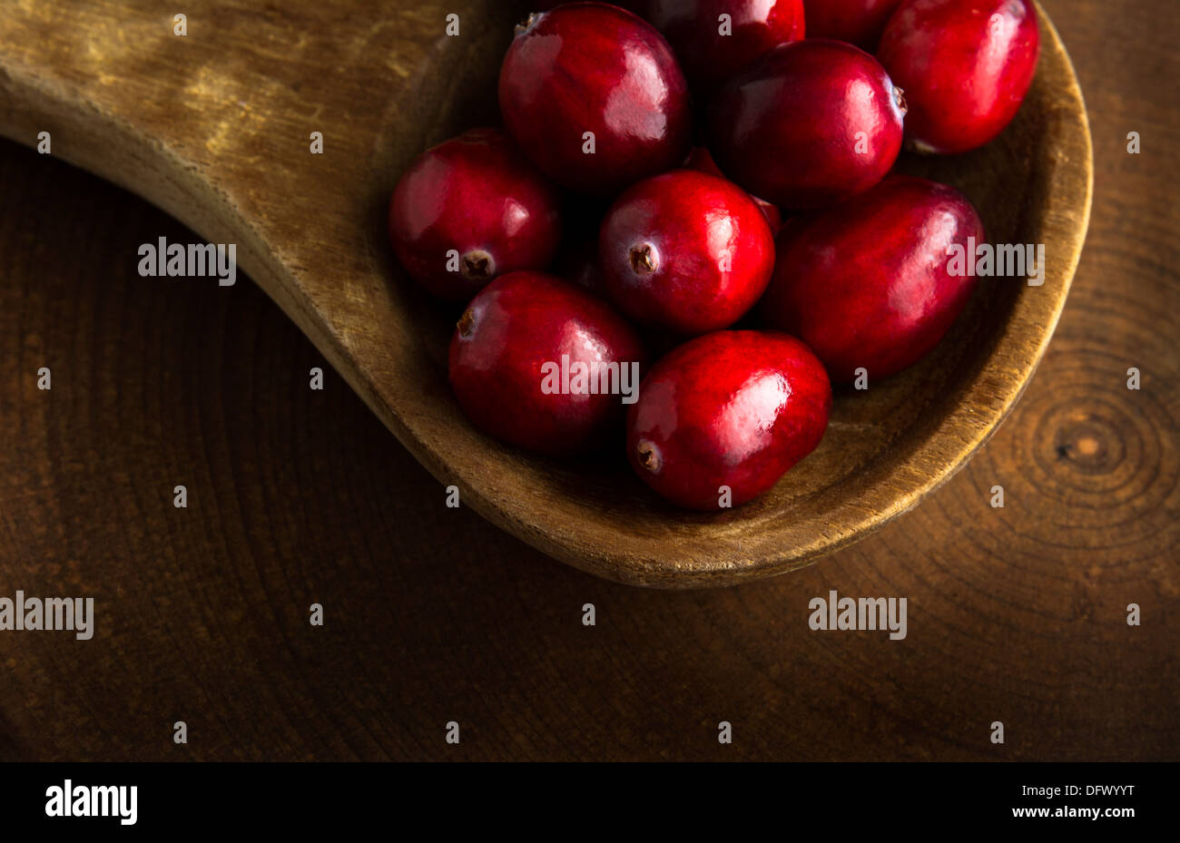 Primo piano o macro di mirtilli rossi in cucchiaio di legno Foto Stock