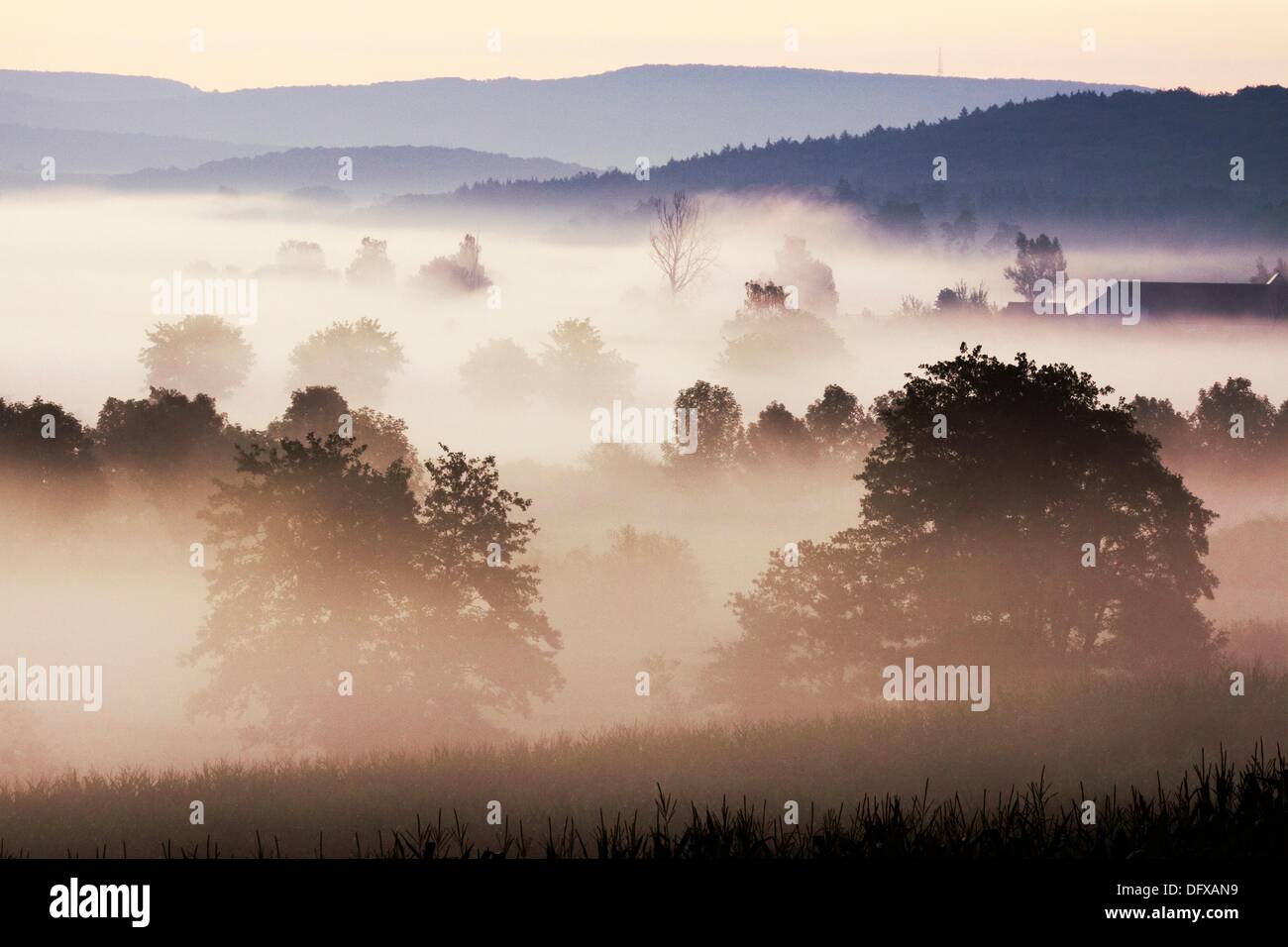 Nebbia di primavera presso il fiume Woernitz in Media Franconia - Bavaria/Germania Foto Stock