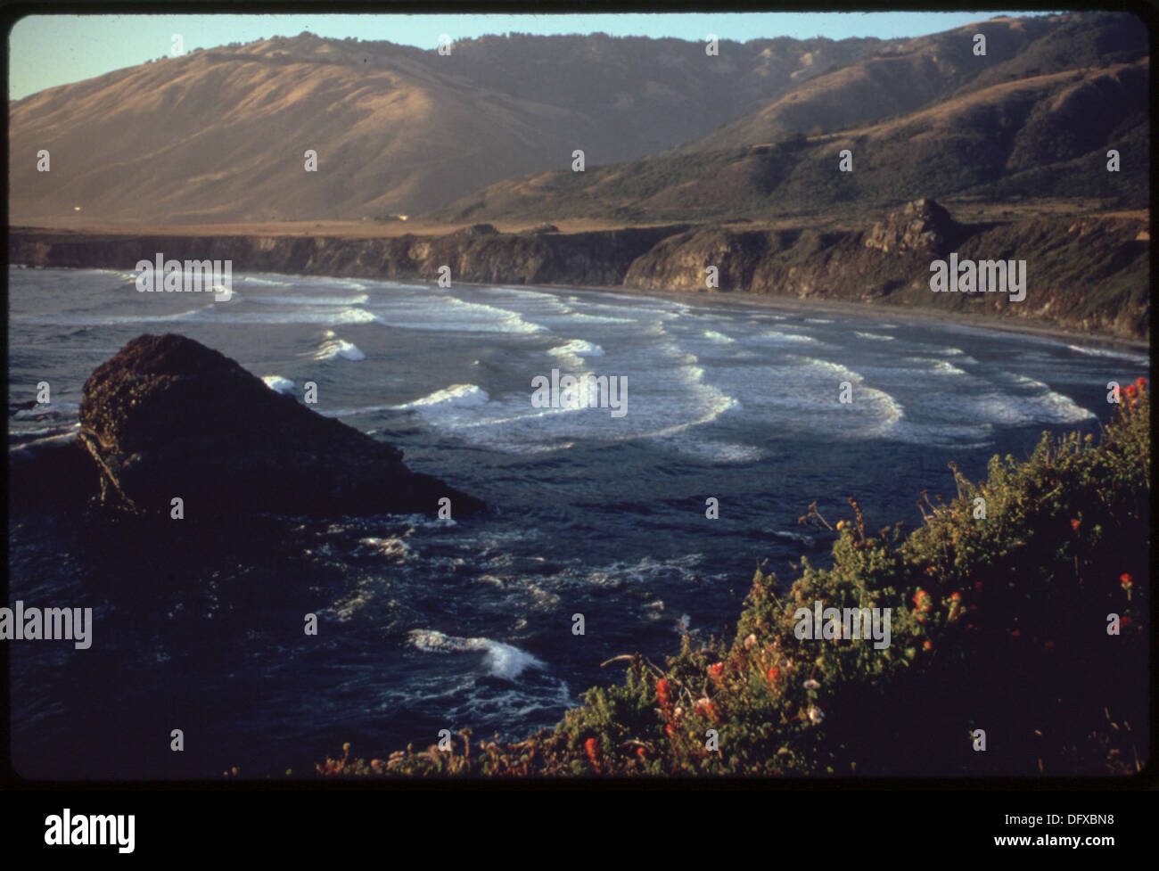Punto Lobos. (Dai siti mostra. Per altre immagini di questa assegnazione, vedere i numeri di fiche, 11, 12, 13, 14, 15... 553805 Foto Stock