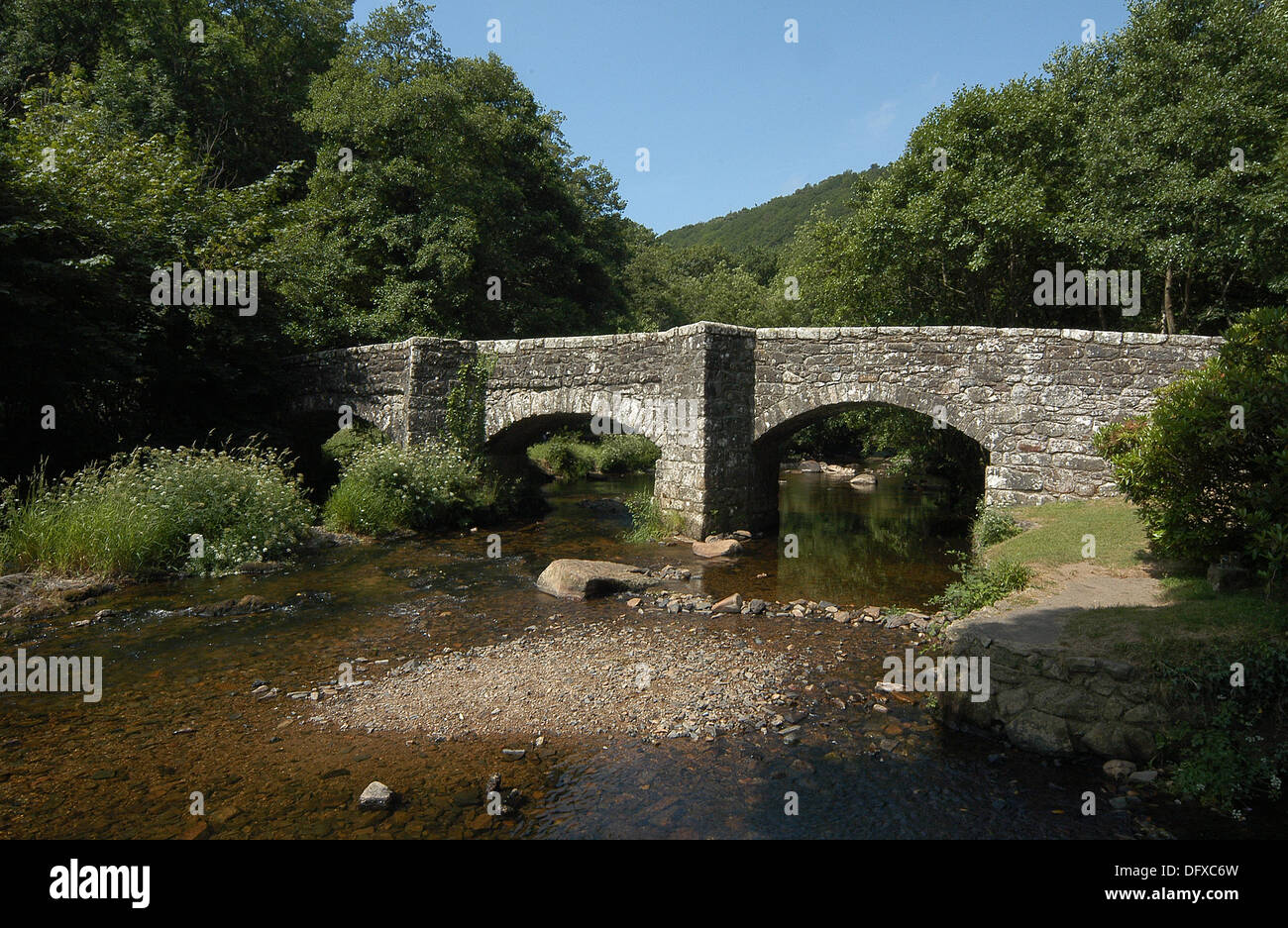 Fingle bridge con il fiume Teign che scorre sotto il ponte, Devon. Foto Stock