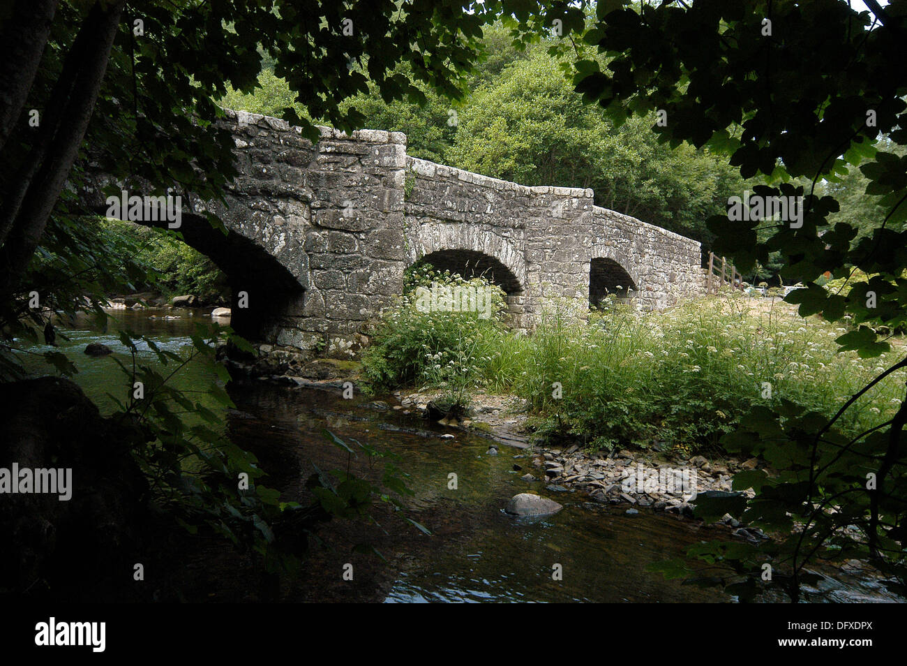 Fingle bridge vicino a Drewsteignton, Devon che mostra i tre archi di questo secolo XVII packhorse ponte sul fiume Teign. Foto Stock