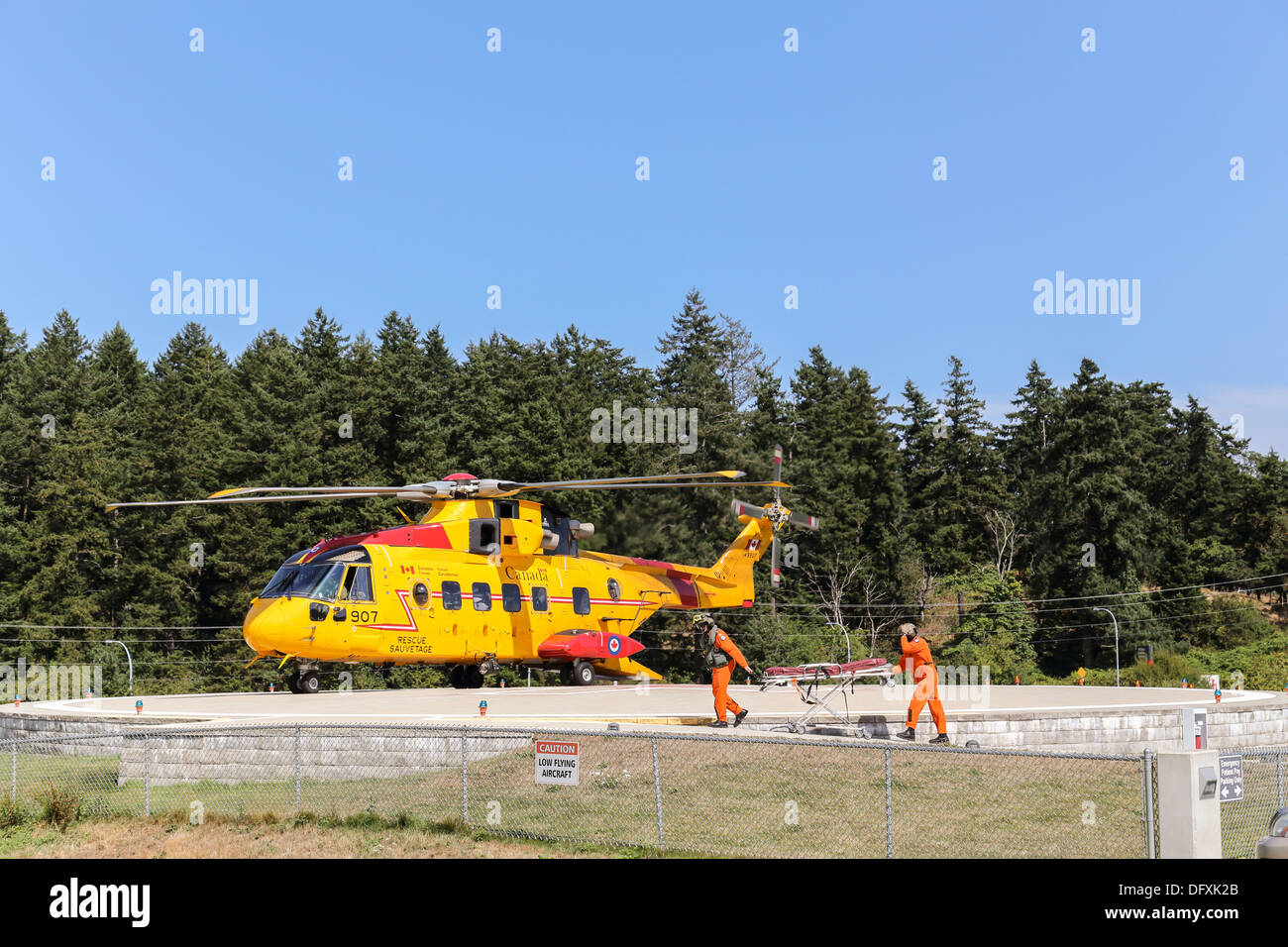 Forze canadesi equipaggio spostare una barella a un CH-149 Cormorant elicottero a Victoria Hospital Foto Stock