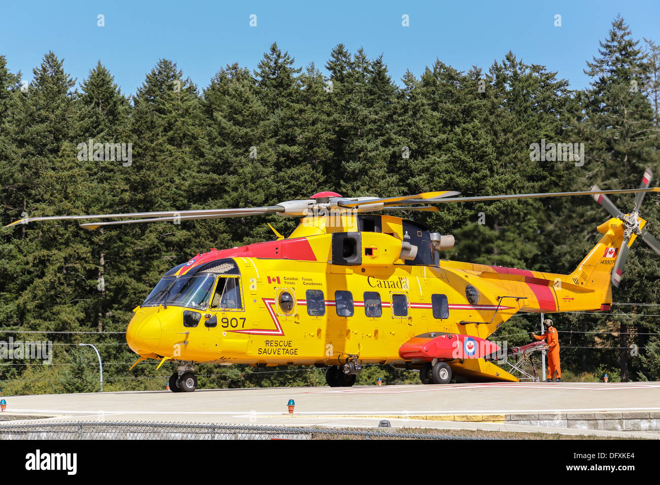 Forze canadesi equipaggio spostare una barella in un CH-149 Cormorant elicottero a Victoria Hospital - Nessuna vendita su Alamy o in qualsiasi altro luogo Foto Stock