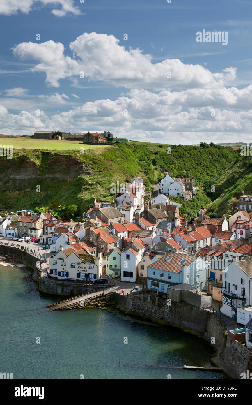 Staithes villaggio di pescatori sulla costa dello Yorkshire. Foto Stock