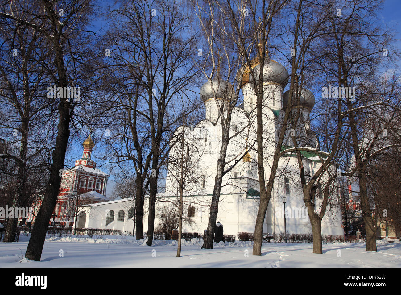 La Russia. Mosca. Il famoso monastero Novodevichiy in inverno Foto Stock