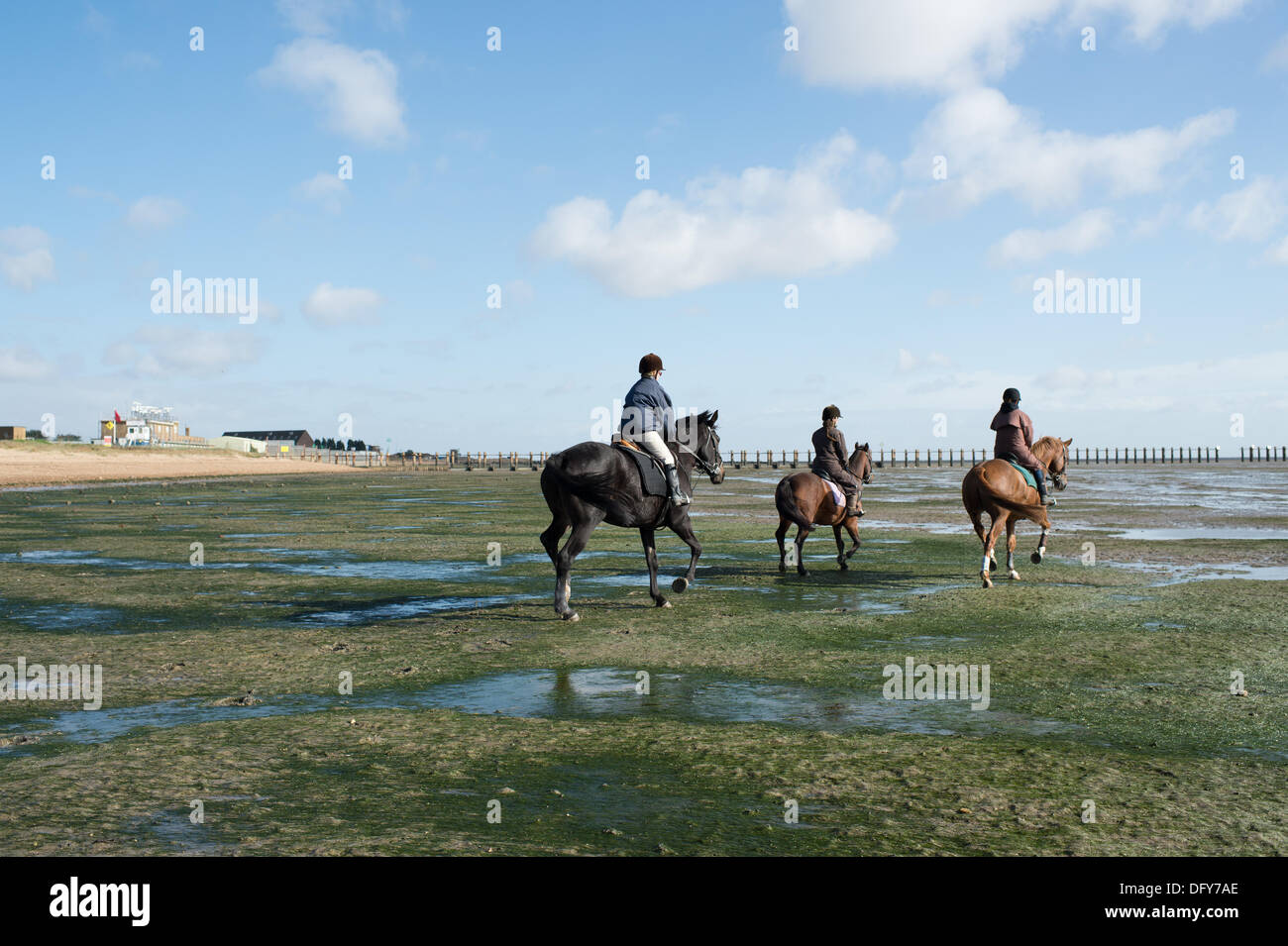 Maplin Sands, Shoeburyness, Essex. 10 ottobre, 2013. Anche con gale force venti predetto, tre piloti hanno portato i loro cavalli da Burnham on Crouch per eseguirle su la Maplin Sands con la bassa marea. Il fresco secco ventoso giorno fatto per un tonificante ride. Credito: Allsorts Stock Photo/Alamy Live News Foto Stock