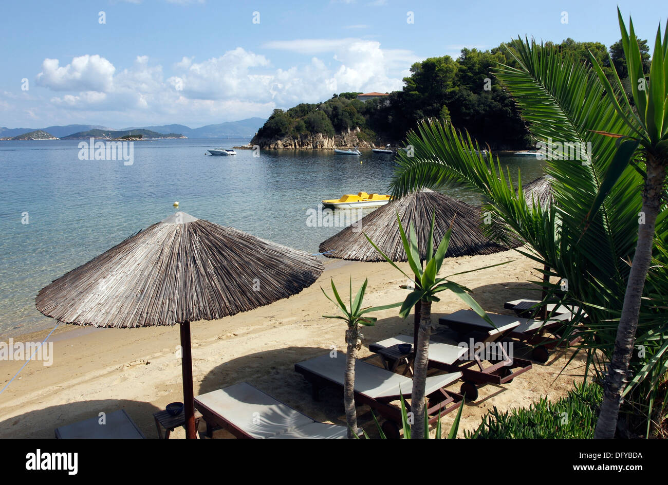 Sedie a sdraio sulla spiaggia Kanapitsa sull'isola greca di Skiathos, una popolare destinazione turistica nel Mare Egeo. Foto Stock