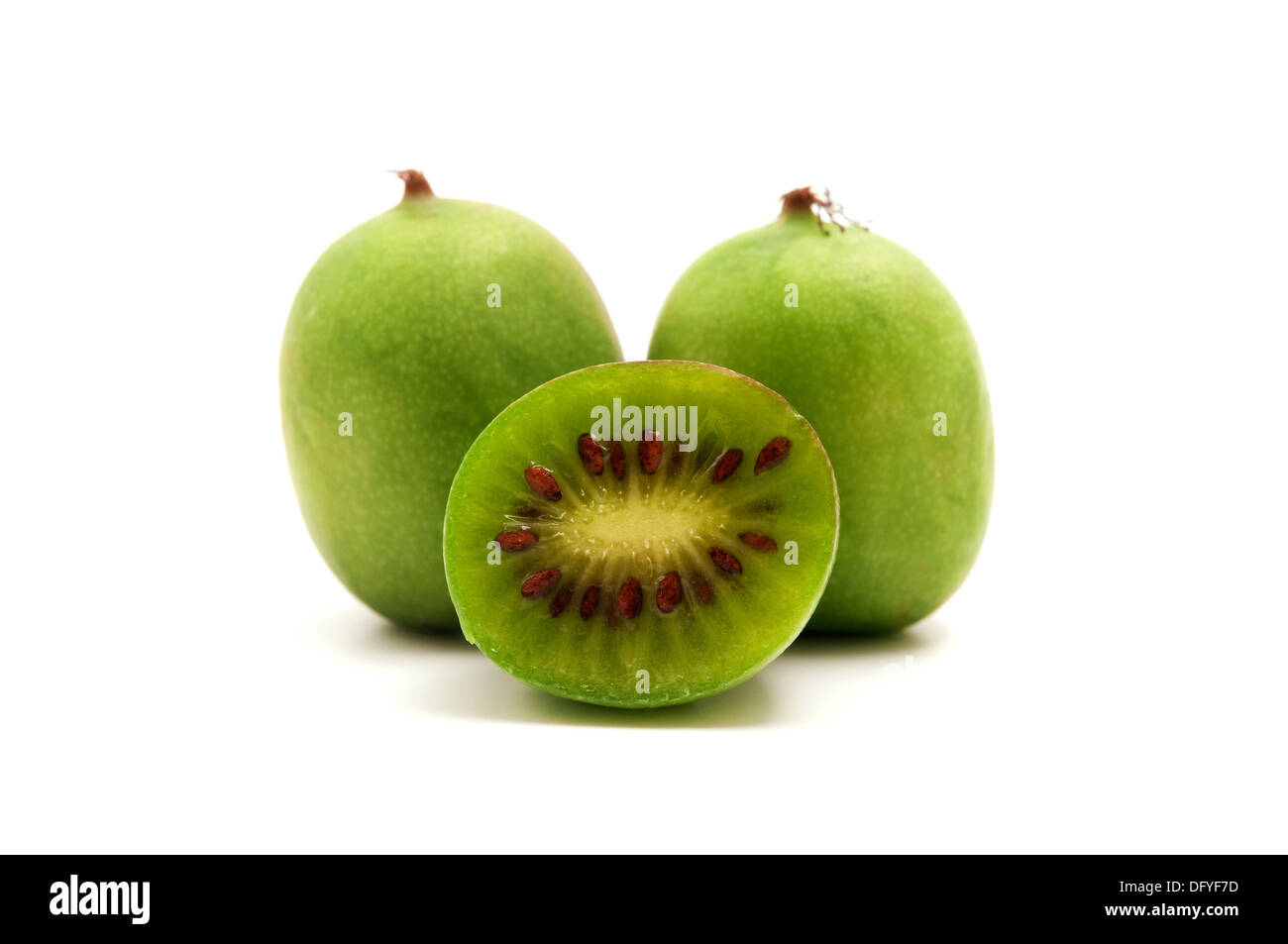 Hardy kiwi su sfondo bianco Foto Stock