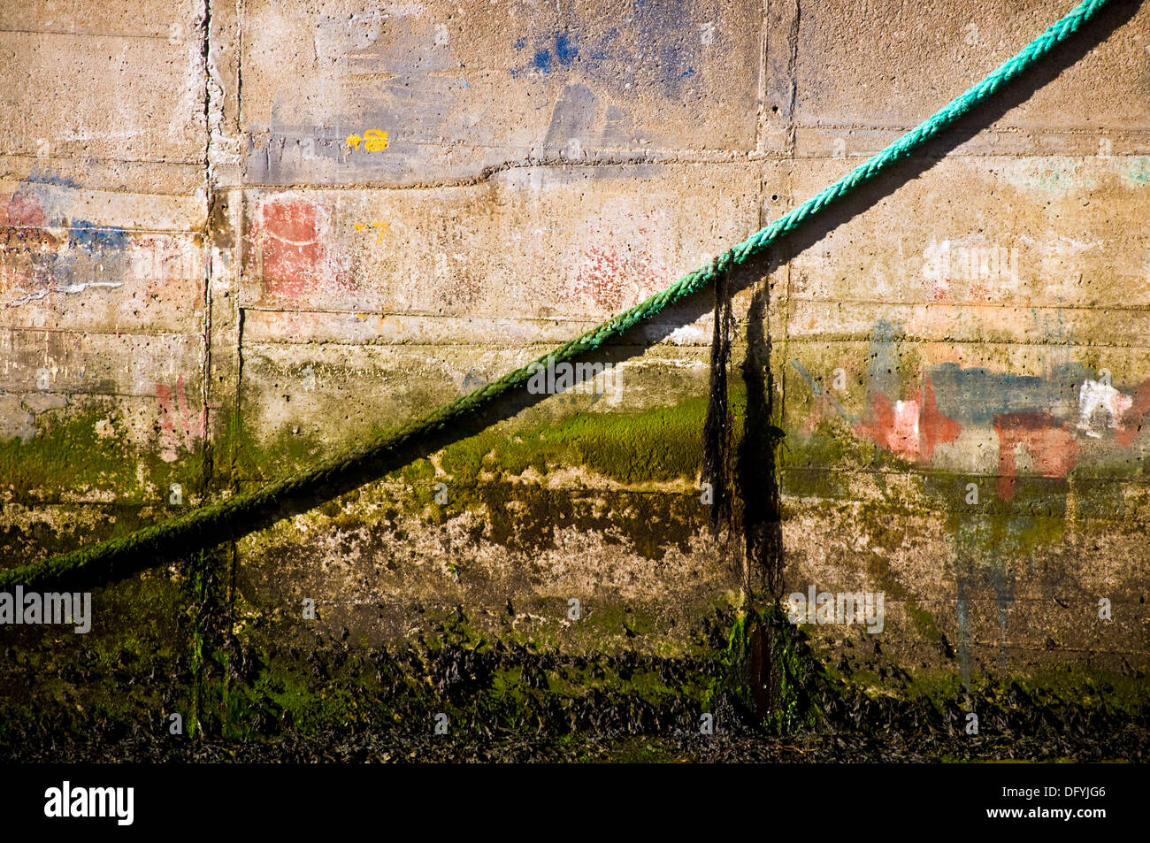 La texture della parete del porto con la cima di ormeggio e di alghe Foto Stock