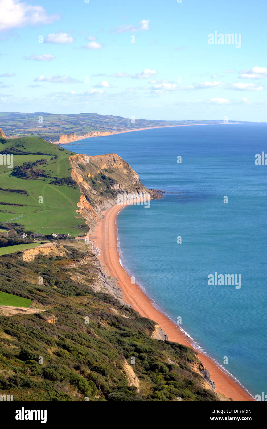 La vista della Jurassic Coast da Golden Cap, in direzione est verso Seatown, Eype e Bridport, West Dorset, Inghilterra. Foto Stock