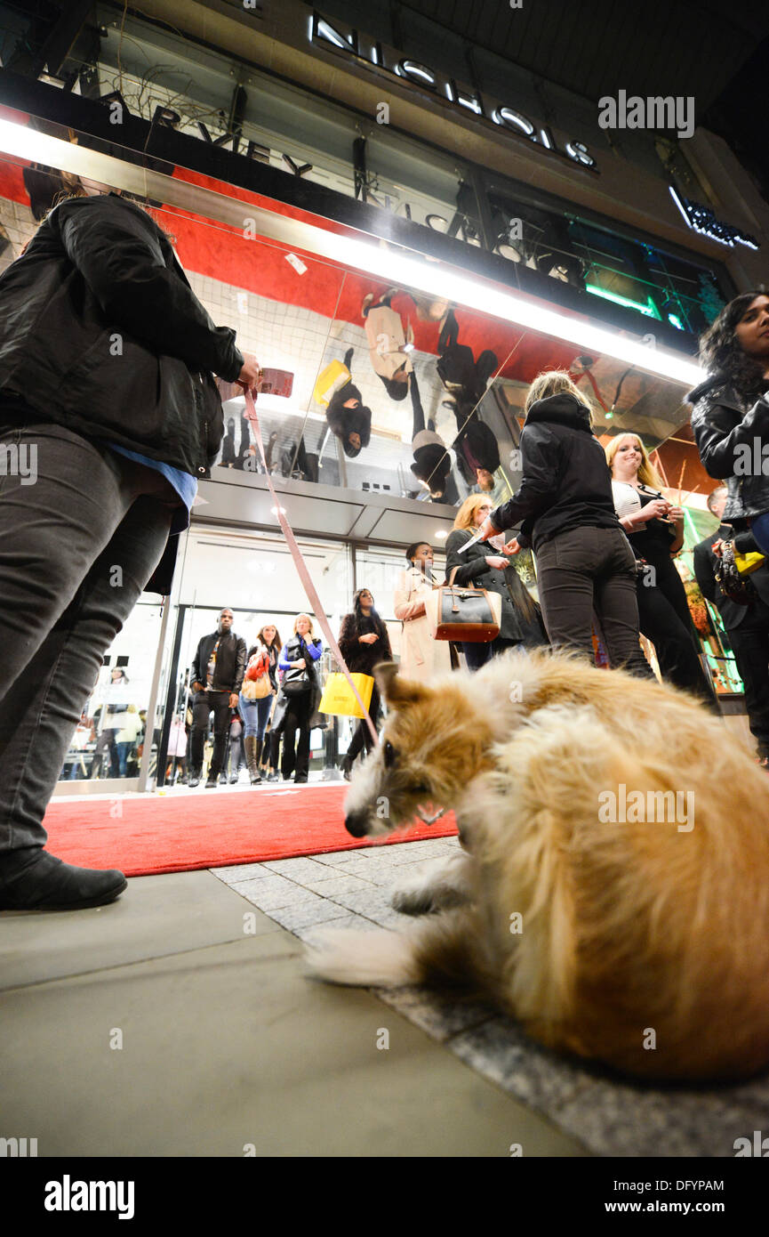 Manchester, Regno Unito . 10 ottobre, 2013. Gli attivisti del gruppo di protesta CAFT (la coalizione di abolire il commercio di pellicce) distribuire la letteratura al di fuori dell'Harvey Nichols a Manchester sulla notte di Vogue Fashion's Night Out nel centro della citta'. Harvey Nichols è uno dei negozi che la rivendicazione di gruppo sono ancora la vendita di capi di abbigliamento realizzati da pelliccia reale. Credito: Russell Hart/Alamy Live News. Foto Stock