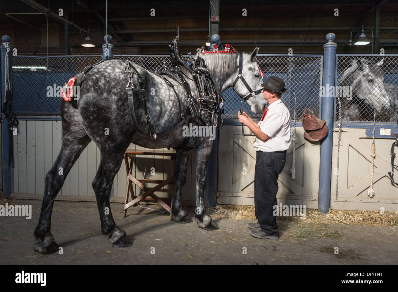 Sfruttando un cavallo in preparazione per la classe, grande New York State Fair, Siracusa. Foto Stock