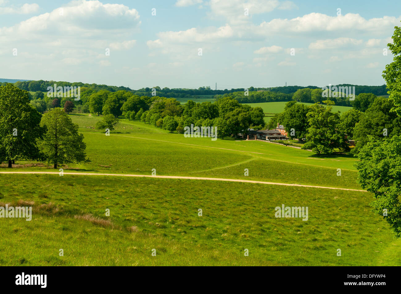 Petworth Park, Petworth, West Sussex, in Inghilterra Foto Stock
