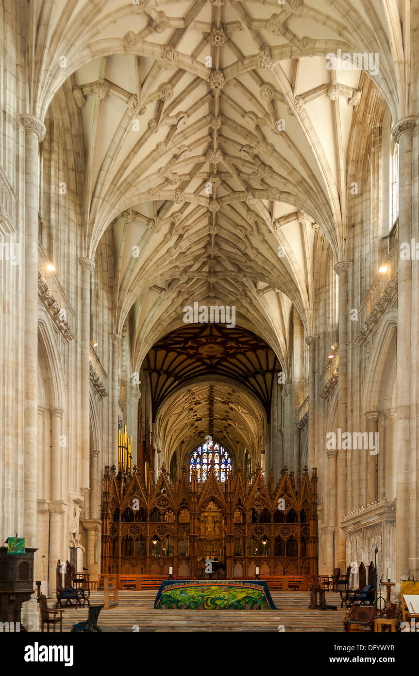 La lunga navata, Winchester Cathedral e Winchester, Hampshire, Inghilterra Foto Stock