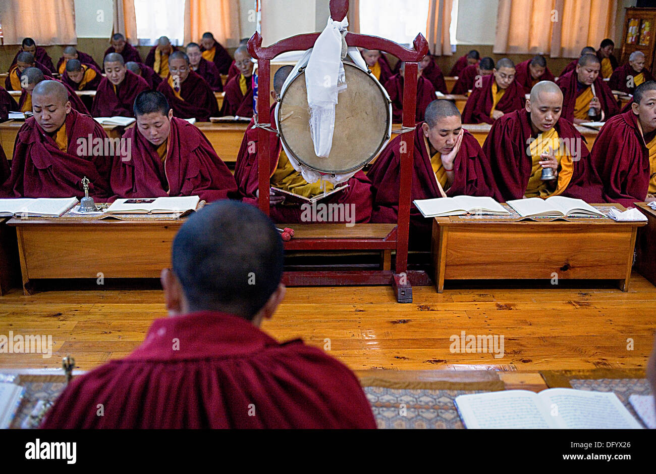 Puja,monache pregando,Geden Choeling Monastero, McLeod Ganj Dharamsala, Himachal Pradesh, India, Asia Foto Stock