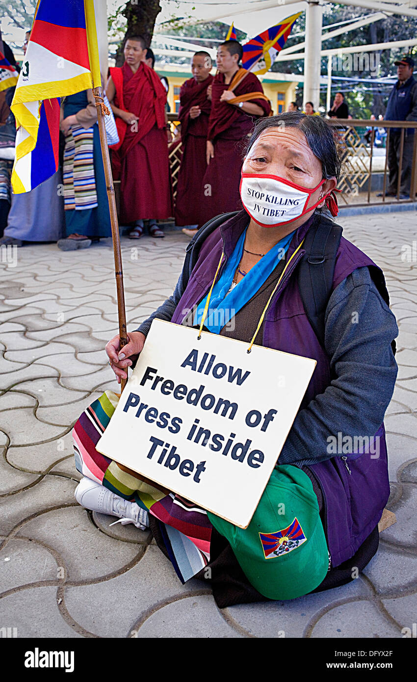 Donna di dimostrazione per la libertà delle donne tibetane, nel monastero Namgyal, Tsuglagkhang complesso. McLeod Ganj, Dharamsala Foto Stock
