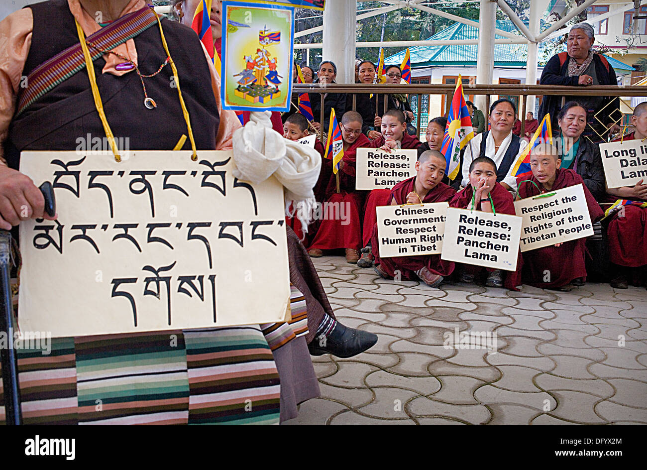 Donna di dimostrazione per la libertà delle donne tibetane, nel monastero Namgyal, Tsuglagkhang complesso. McLeod Ganj, Dharamsala Foto Stock