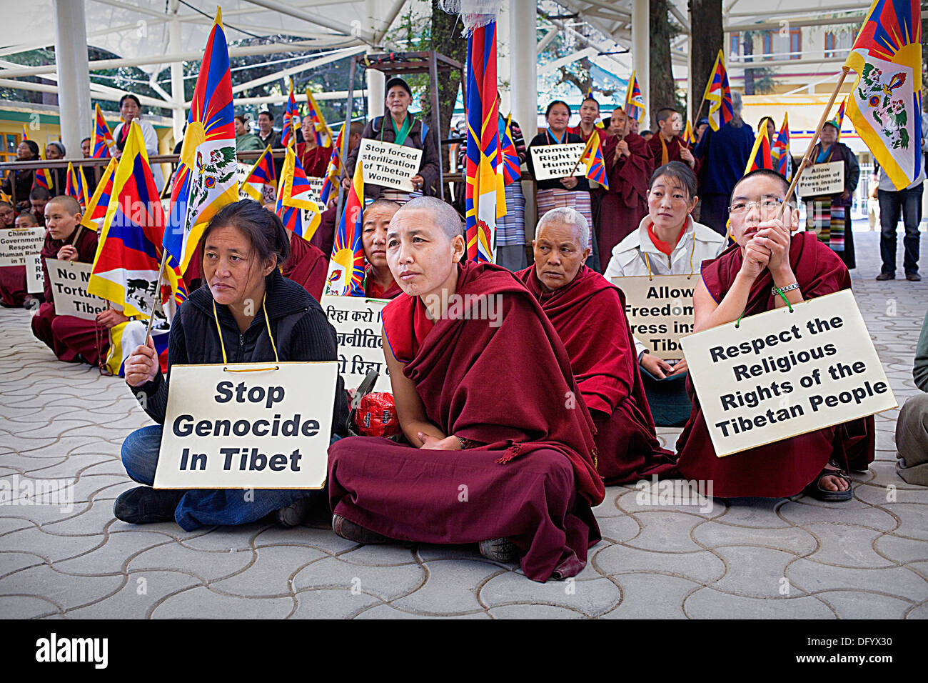 Donna di dimostrazione per la libertà delle donne tibetane, nel monastero Namgyal, Tsuglagkhang complesso. McLeod Ganj, Dharamsala Foto Stock