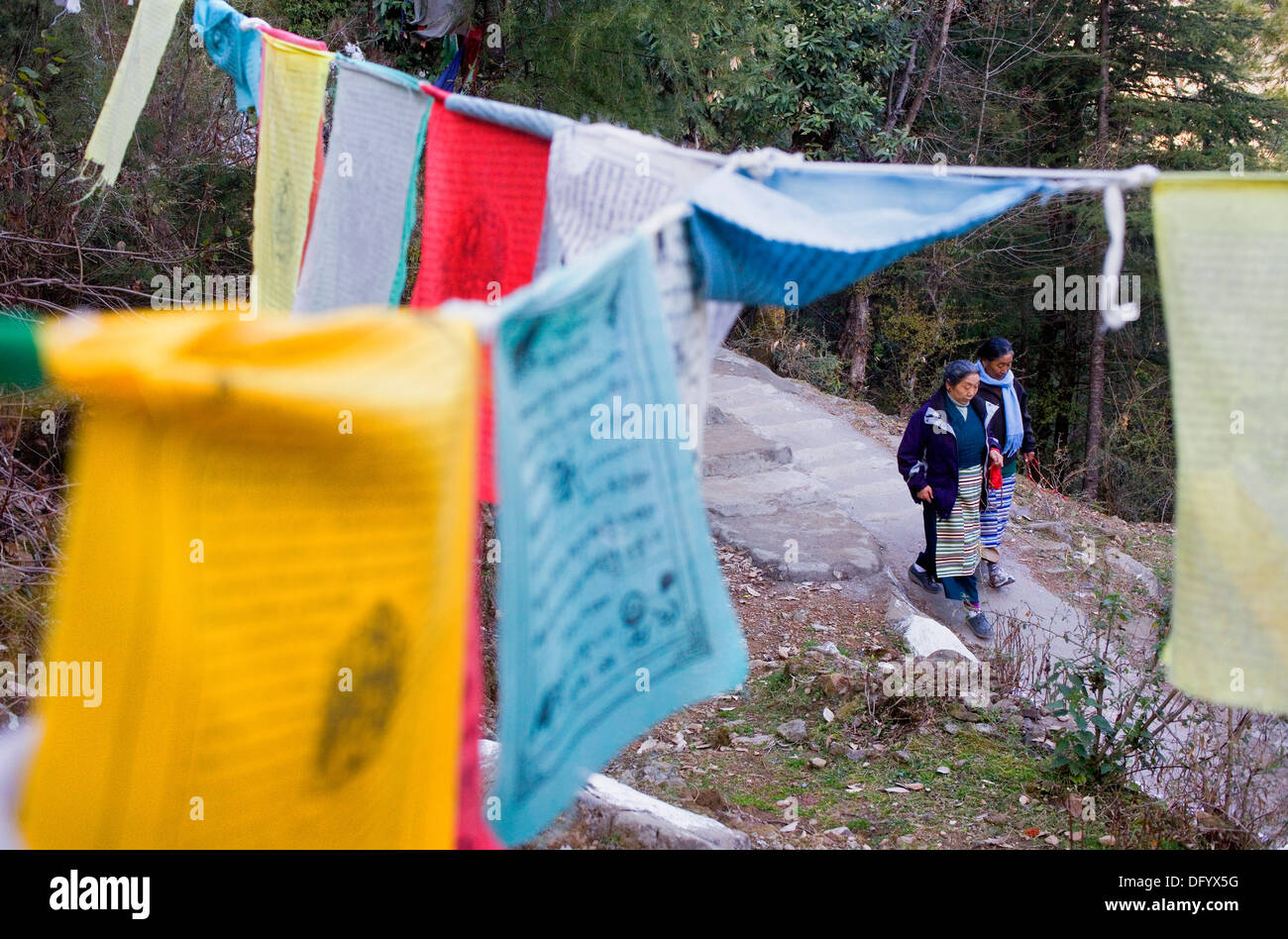 Preghiera tibetano bandiere in Lhagyal Ri, vicino Tsuglagkhang complesso,McLeod Ganj Dharamsala, Himachal Pradesh, India, Asia Foto Stock
