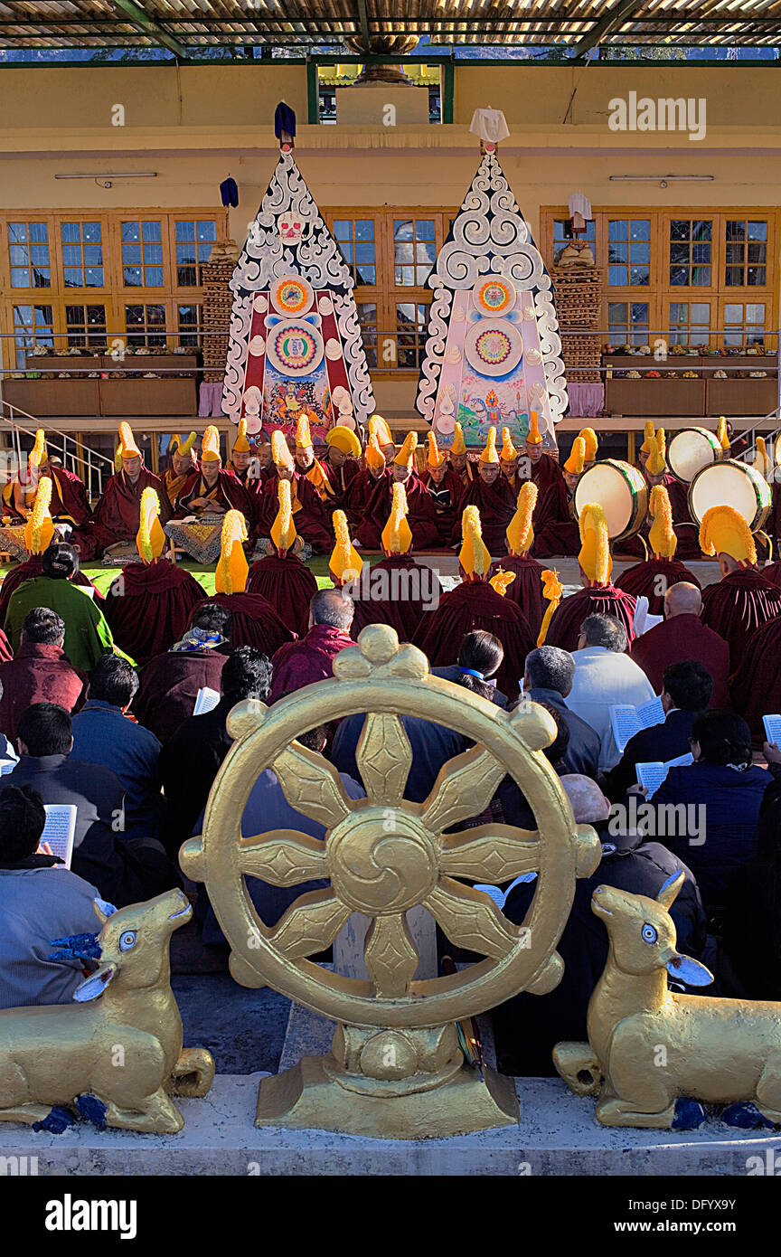 Puja,i monaci la preghiera durante il Losar anno nuovo, nel monastero Namgyal,nel complesso Tsuglagkhang. McLeod Ganj Dharamsala, Himachal Prades Foto Stock
