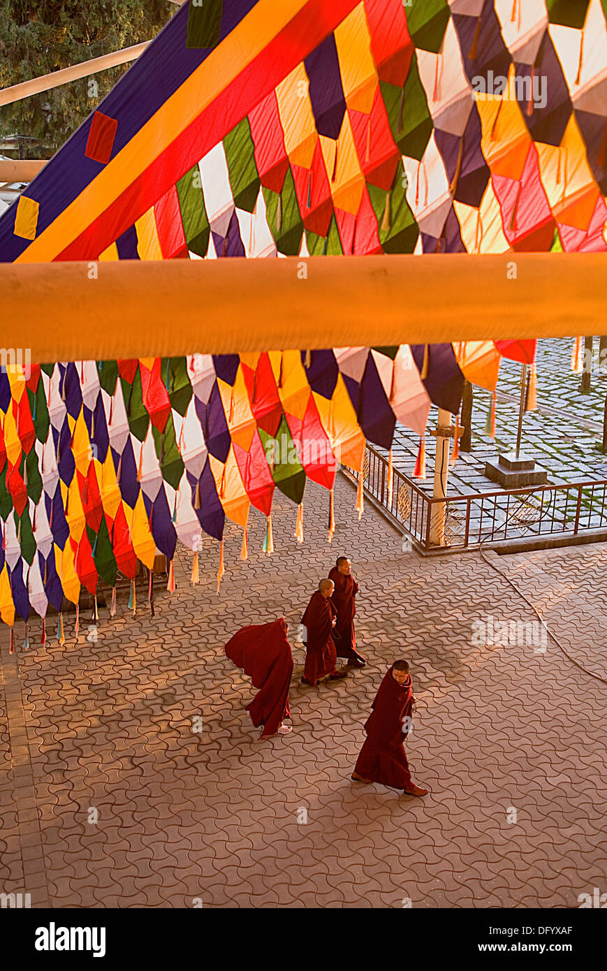 I monaci nel Monastero Namgyal,nel complesso Tsuglagkhang. McLeod Ganj Dharamsala, Himachal Pradesh, India, Asia Foto Stock