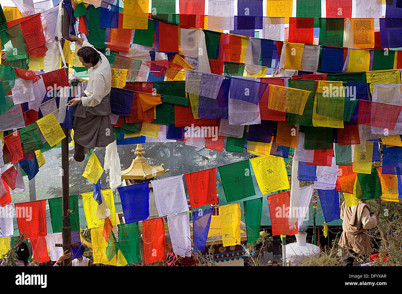 L'uomo appeso preghiera tibetano bandiere in Lhagyal Ri, vicino Tsuglagkhang complesso,McLeod Ganj Dharamsala, Himachal Pradesh, India Foto Stock