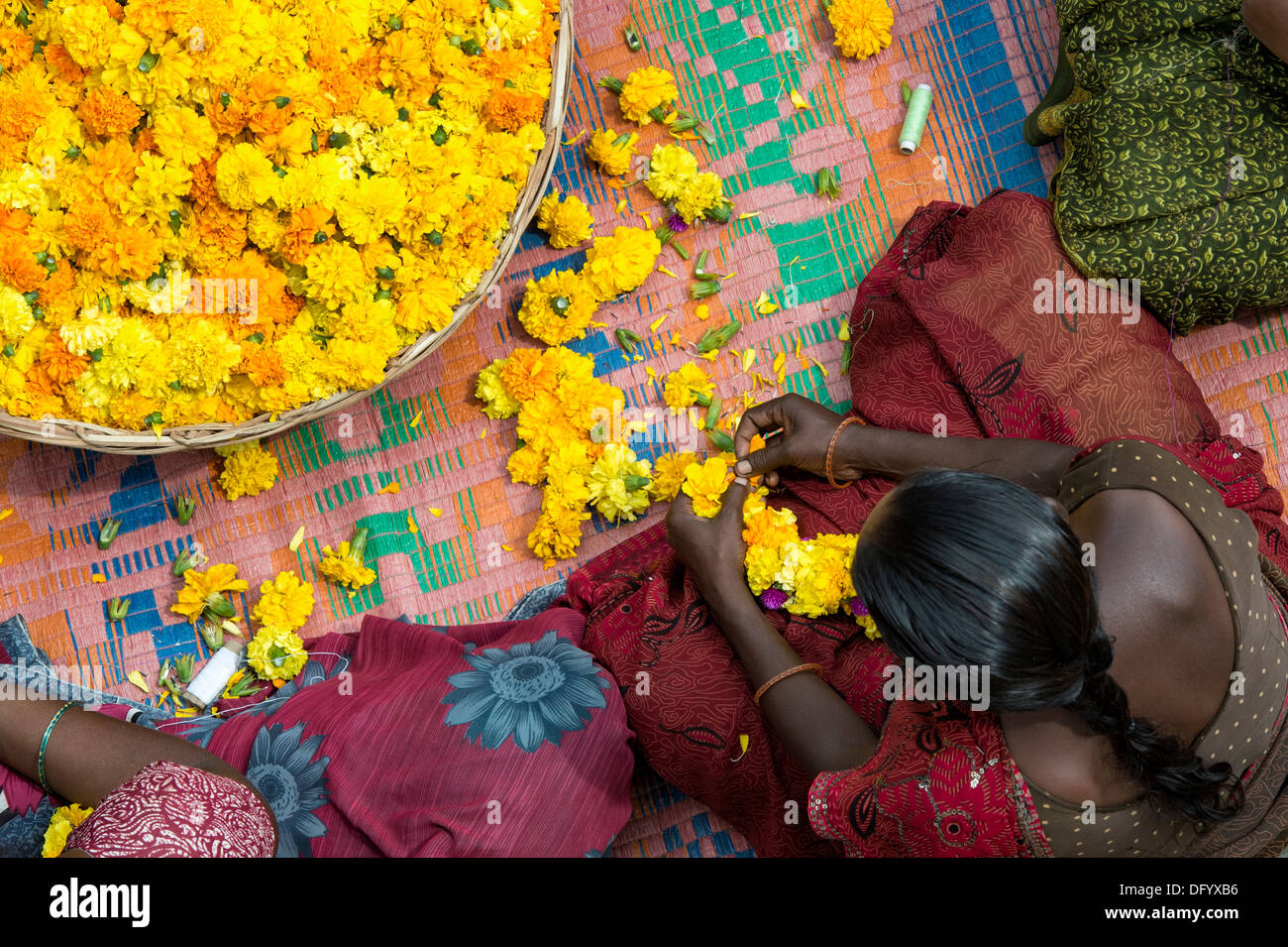 Rurale villaggio indiano le donne sedute intorno a un paniere di fiori di tagete fare ghirlande di fiori. Andhra Pradesh, India Foto Stock