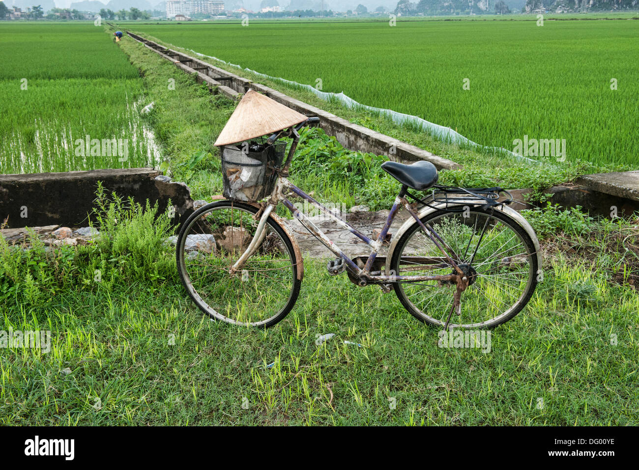 Riso dell'agricoltore hat e bicicletta Ninh Binh, Vietnam Foto Stock
