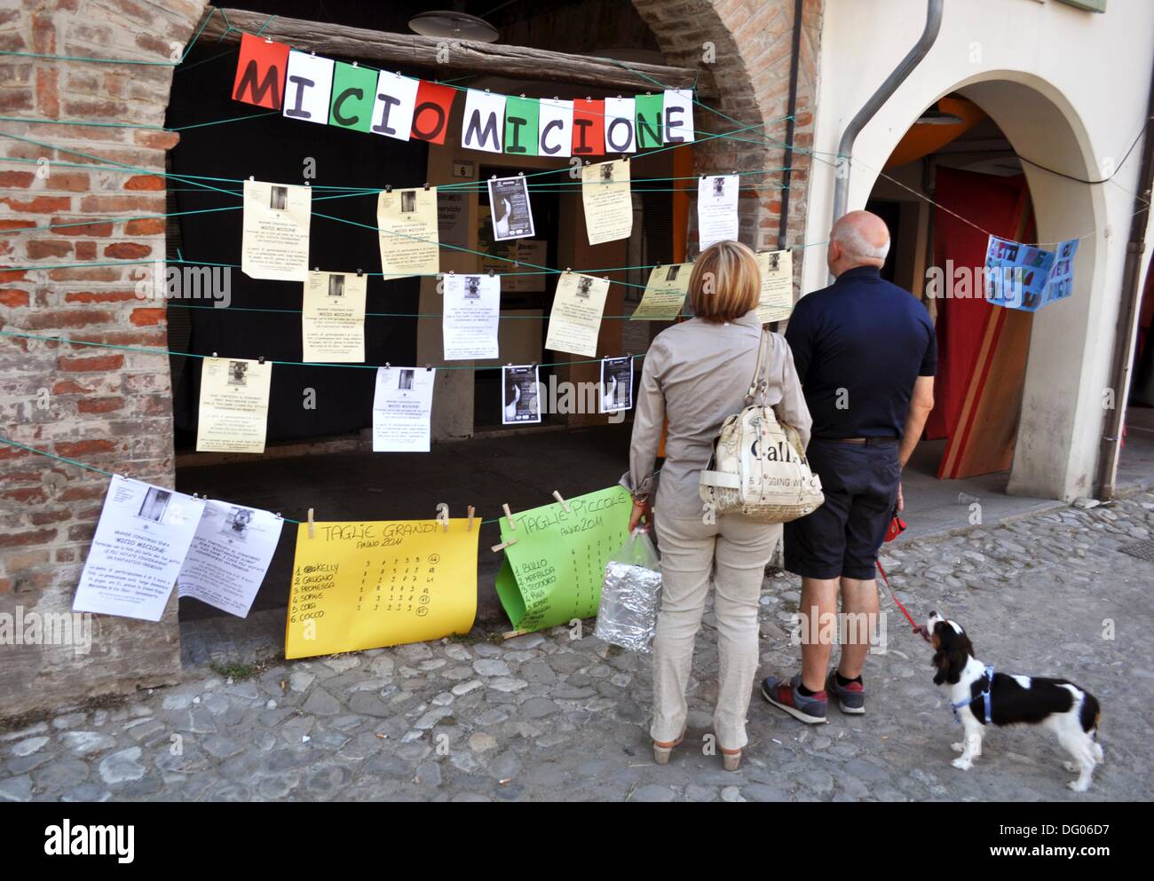 Spilamberto (Modena): gatti adozione stallo in via Obici Foto stock - Alamy