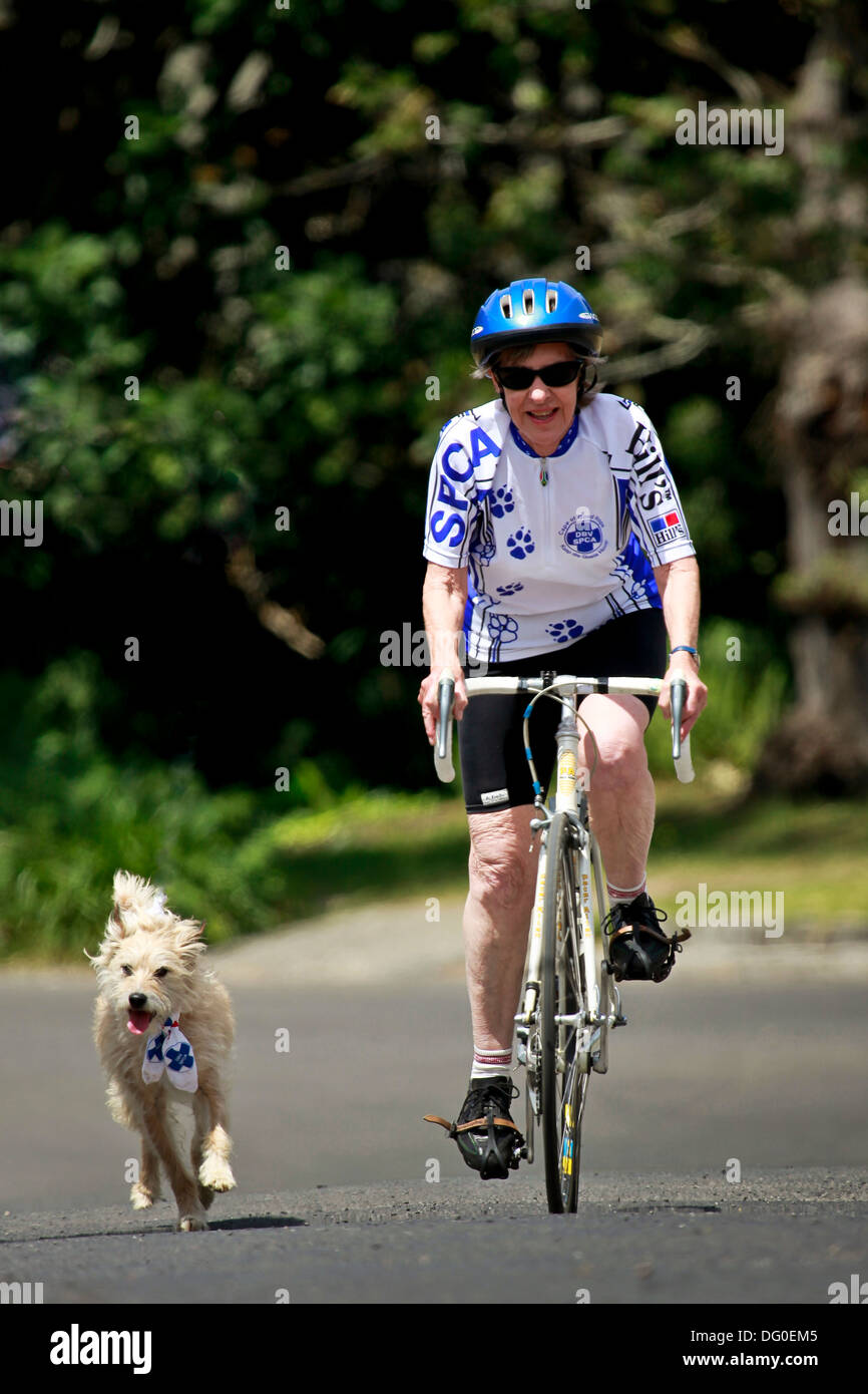 Escursioni in bicicletta con il vostro animale domestico, Tokai Forest, Cape Town, Sud Africa Foto Stock